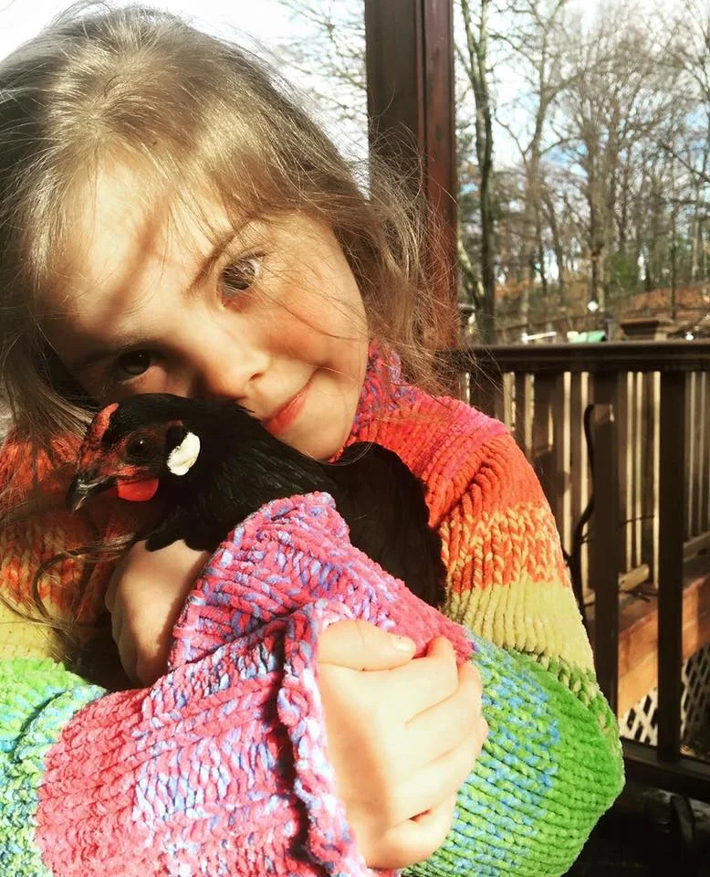Missi & Trey's Tiny with one of our Beloved Chickens