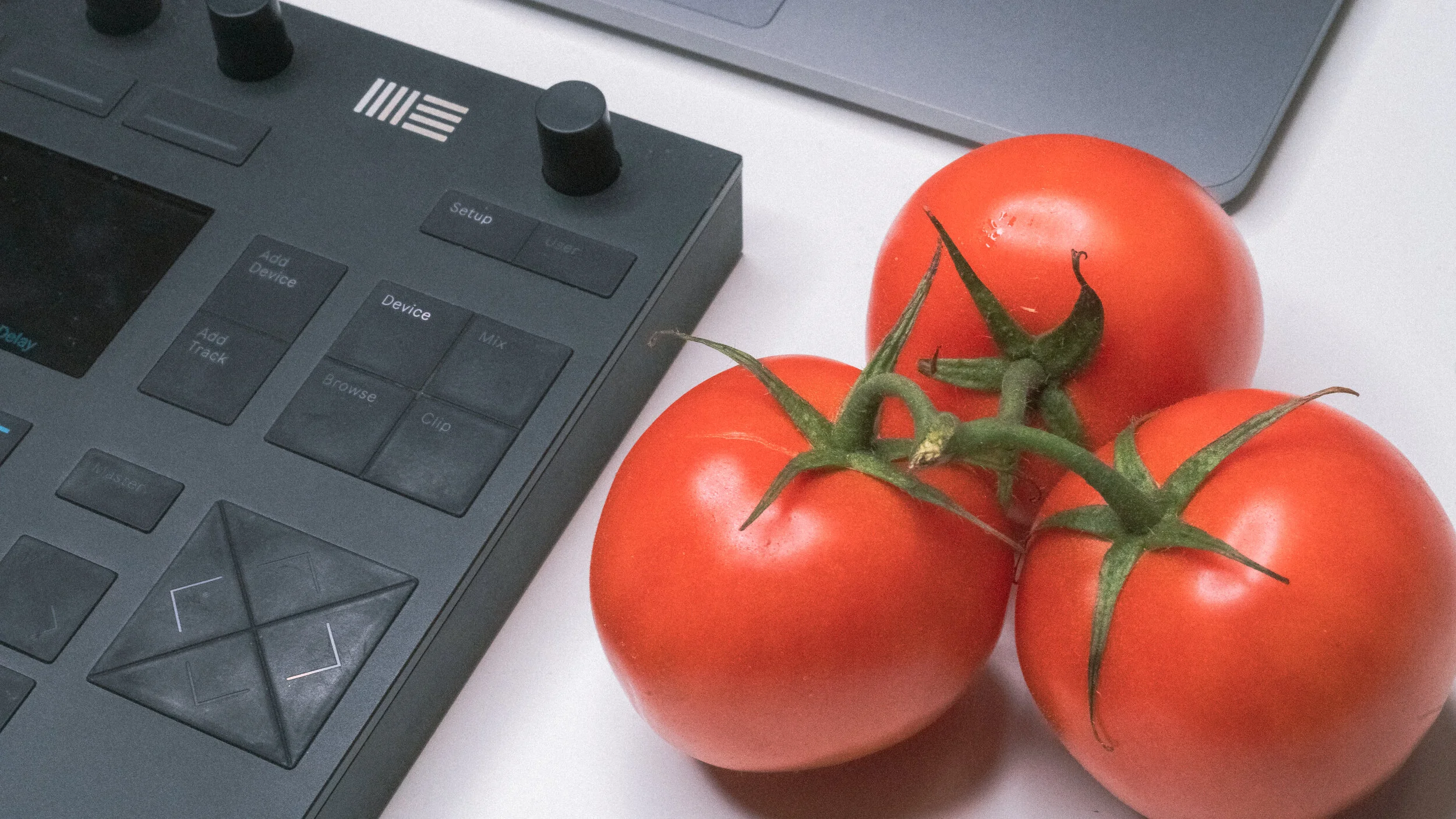 The Pomodoro technique was developed based on a tomato-shaped kitchen timer. Now that I have the Max for Live device, I no longer have any need for the physical object and can keep  real  tomatoes in the studio without exceeding my tomato quota!