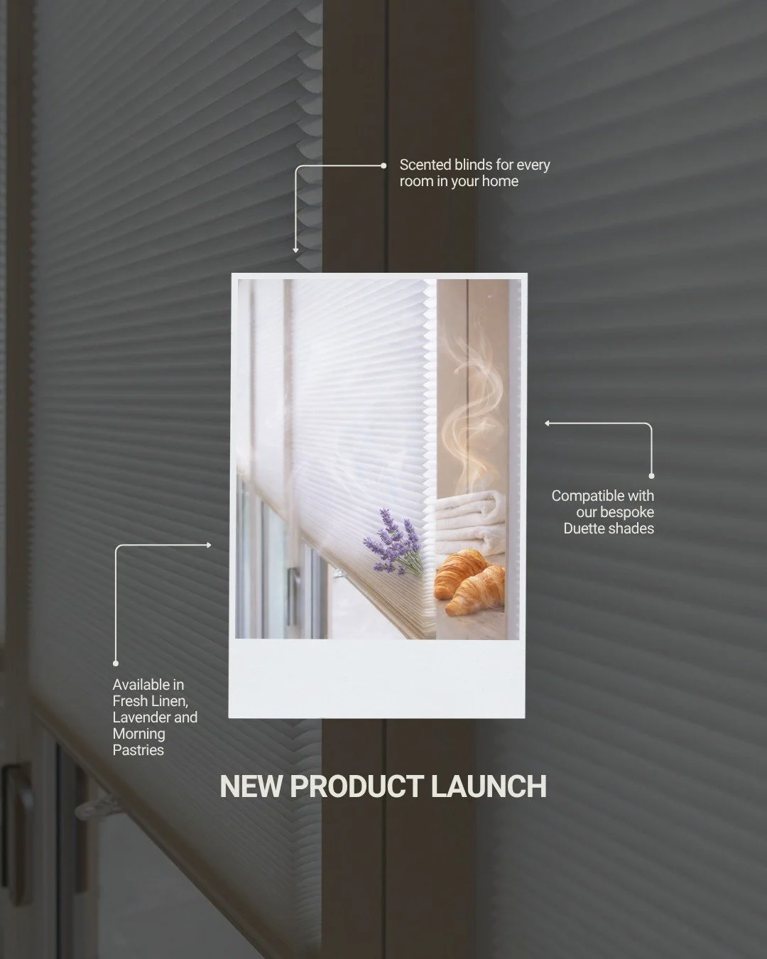 Introducing: 𝗦𝗰𝗲𝗻𝘁𝗲𝗱 𝗕𝗹𝗶𝗻𝗱𝘀 🌸✨

Proud to unveil our latest revolutionary product - scented binds to complement every room in your home.

Available in Lavender, Fresh Linen and Morning Pastries, all blinds are custom-made to your space ?