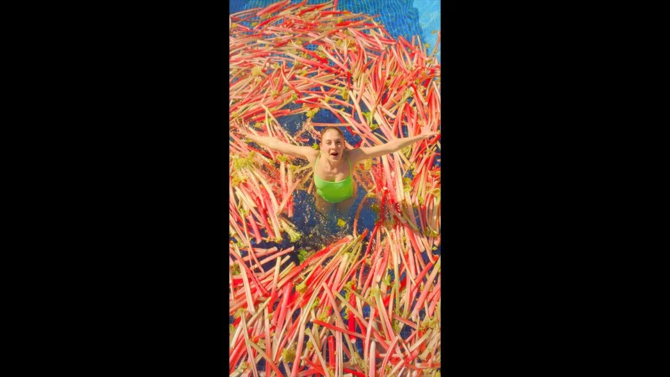 Insta stories - rhubarb