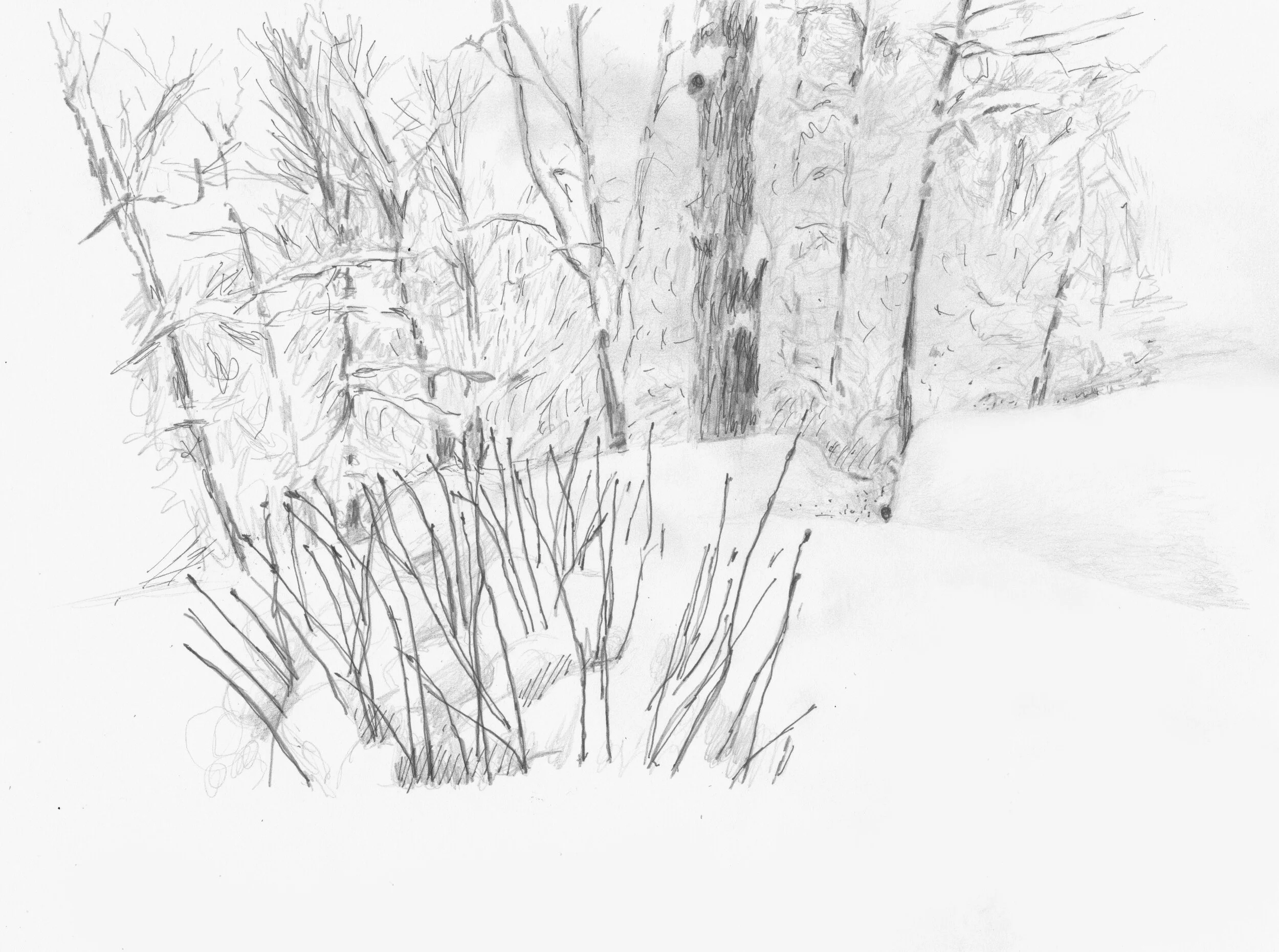 Winter in Ithaca