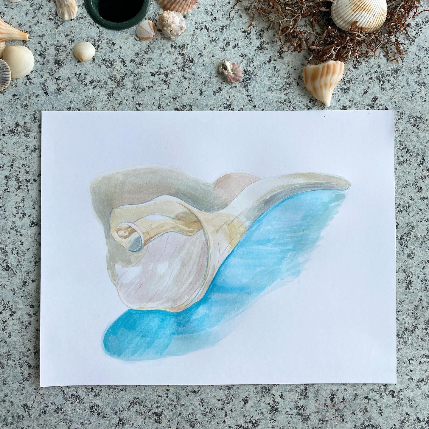 Last day at the beach. Tomorrow it&rsquo;ll probably be back to plants, but today I&rsquo;m enjoying my shell painting.