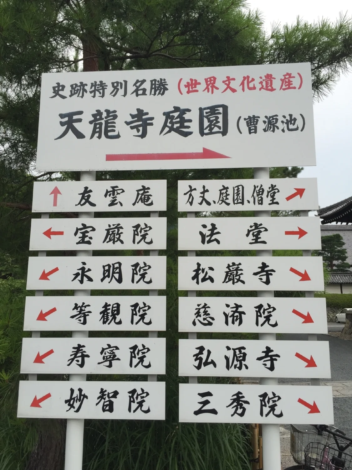 Seniors are Done – But Juniors are Asking “Which one?”