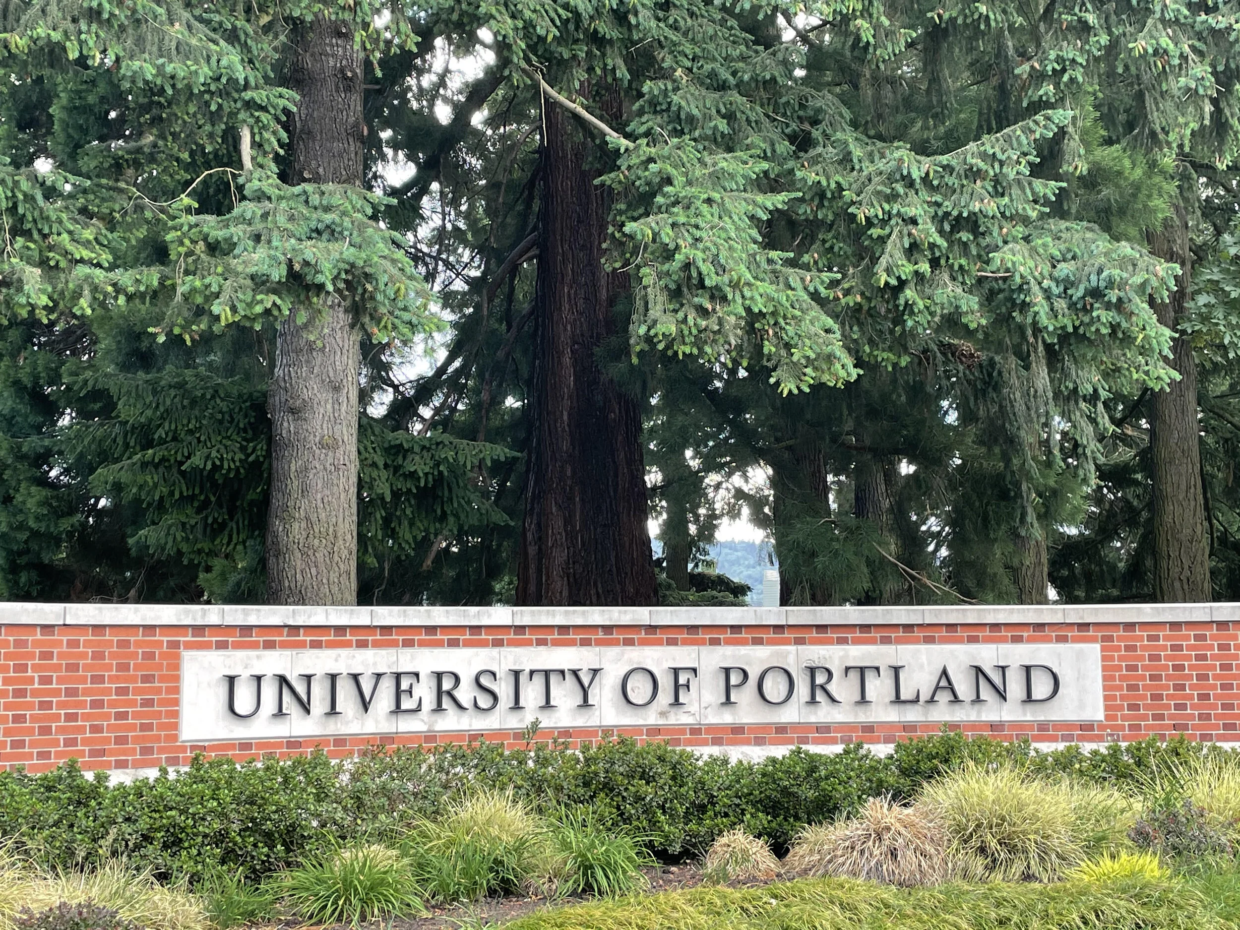 VIP Insights on the University of Portland