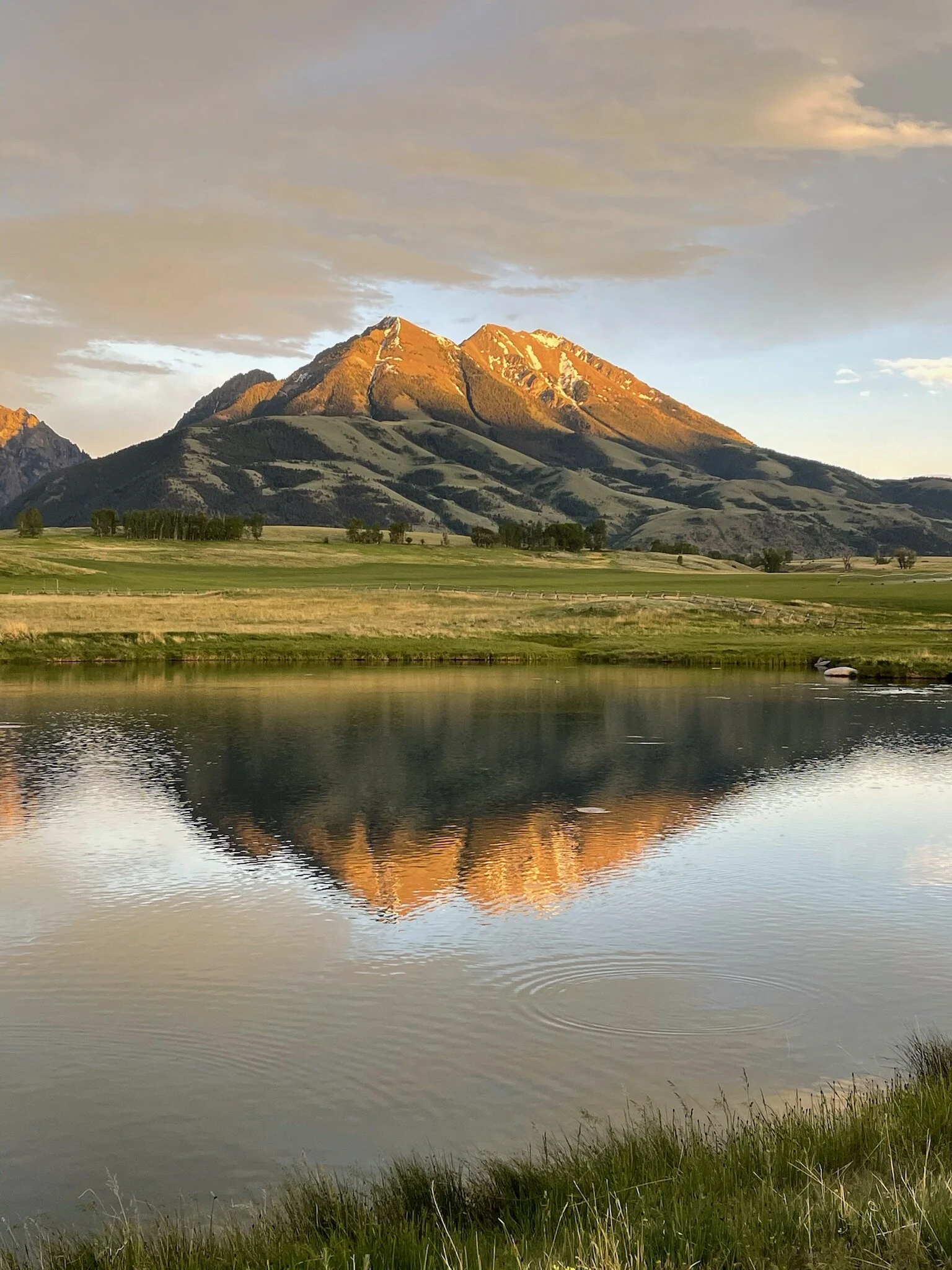 Montana Finale to The College Sage Westward Adventure