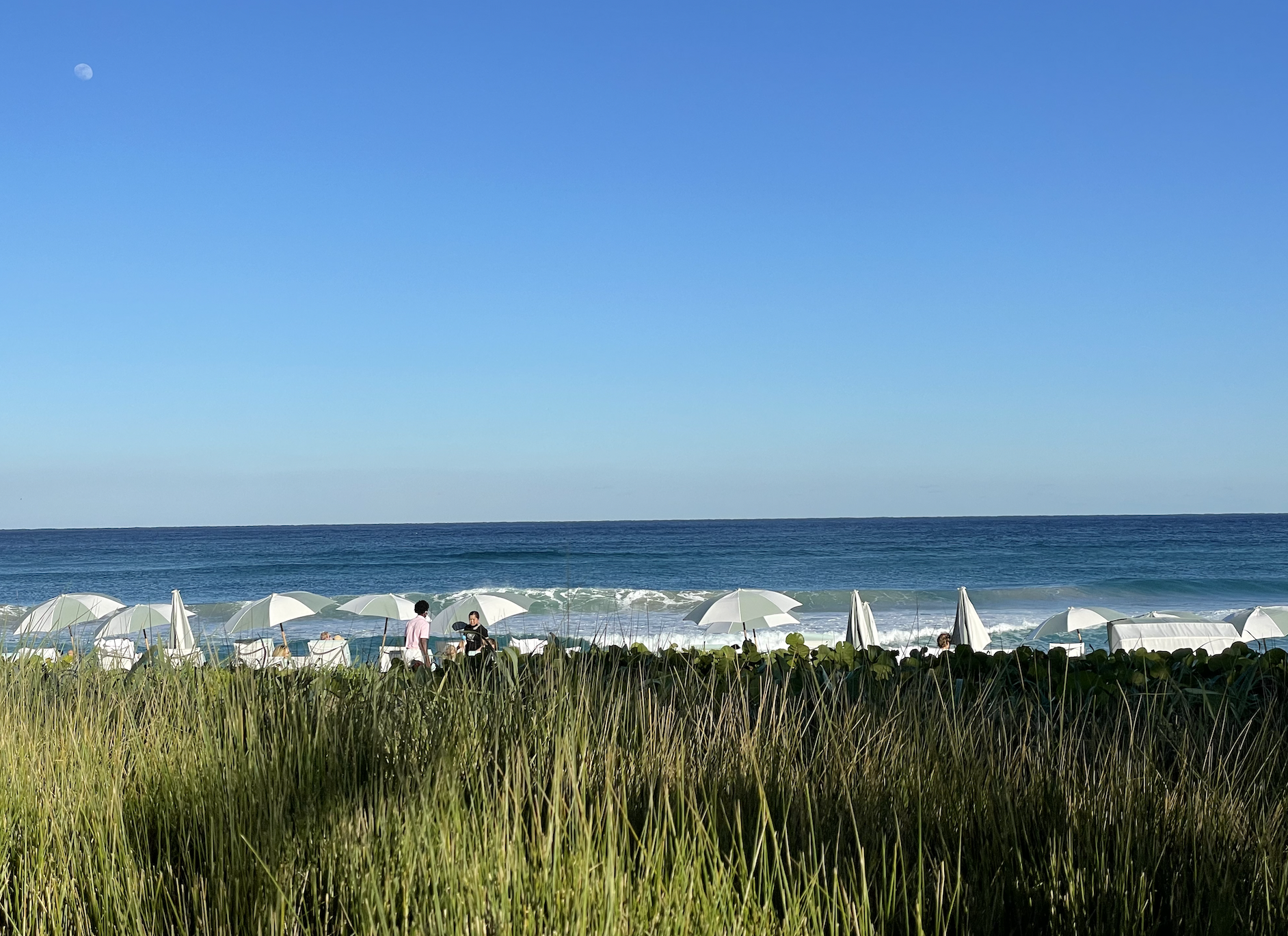THE COLLEGE SAGE MERMAID TOUR: SUNNY FLORIDA IS AN ENCHANTING PLACE TO STUDY