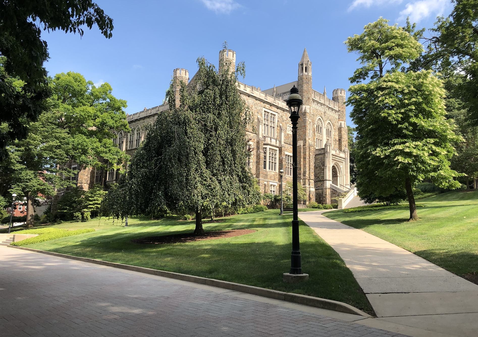 WHAT’S YOUR PATH? UNIQUE COLLEGE MAJORS