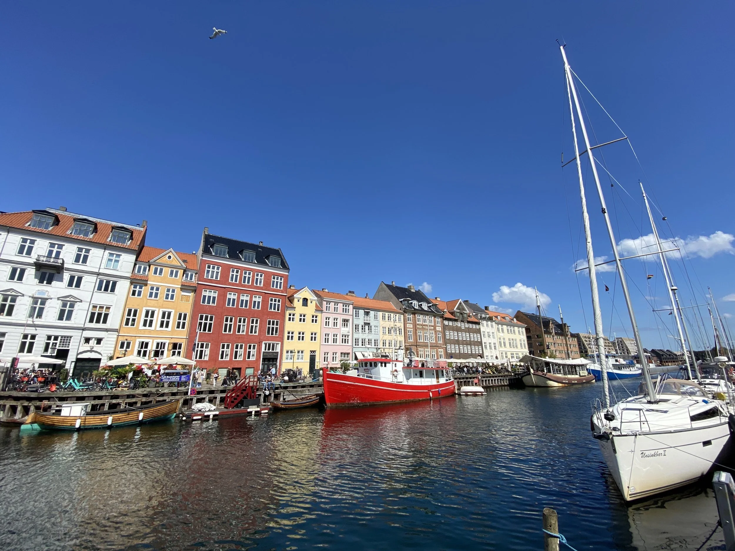 Master your Hygge: Exploring Skandinavian University Programs