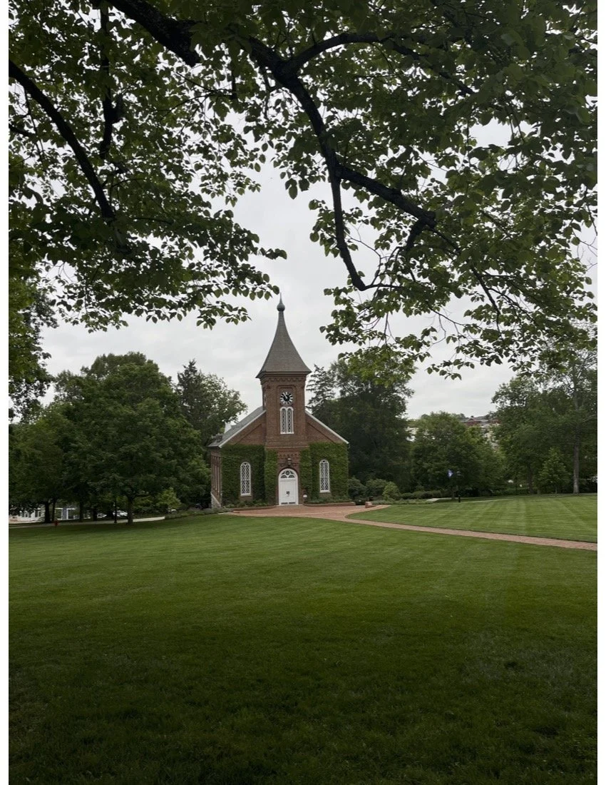 Firsthand Student Experiences - Three Rising Junior Students Share Their Experiences at Their Dream School, Washington and Lee&nbsp;