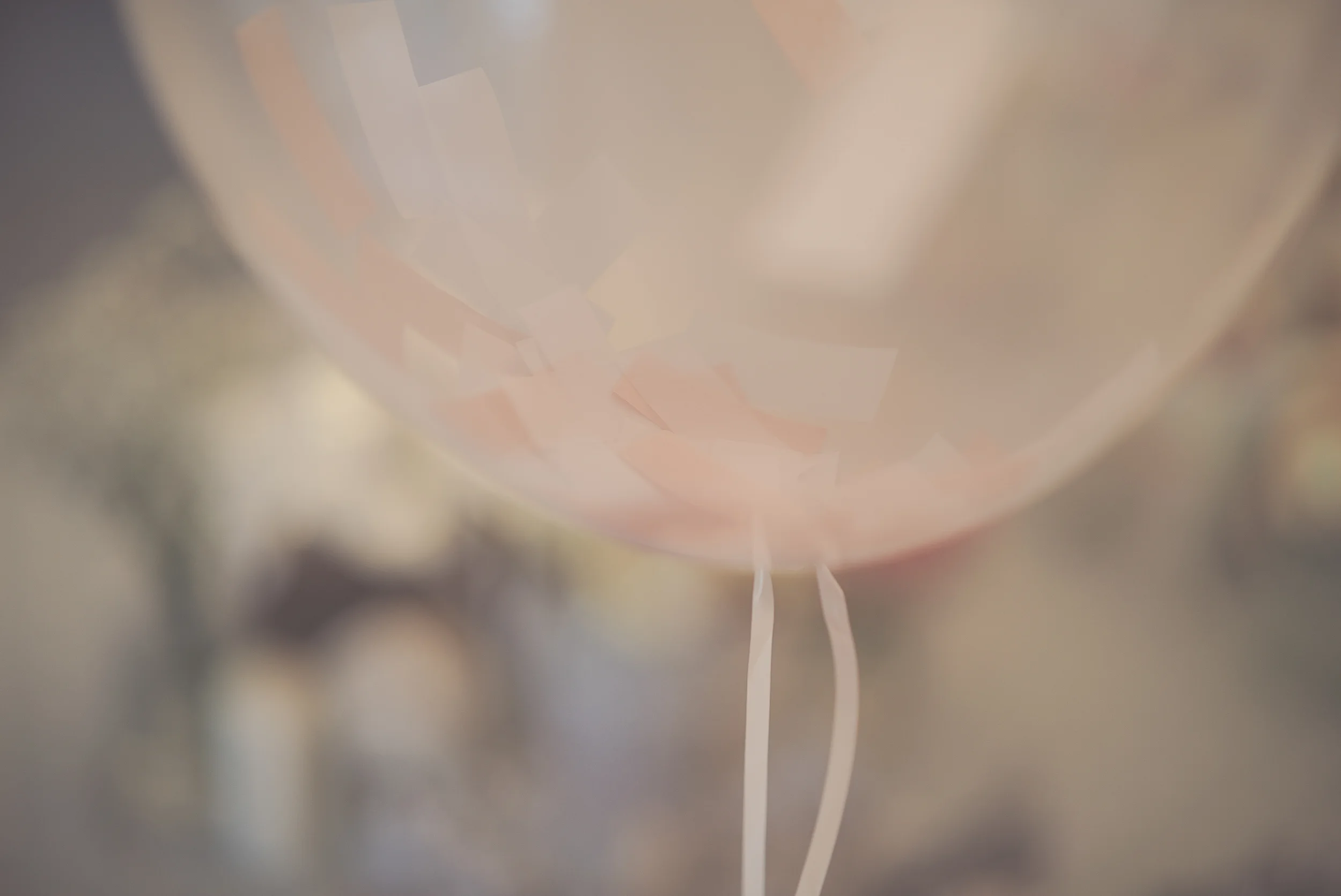 WEDDINGLIANSA-33.jpg