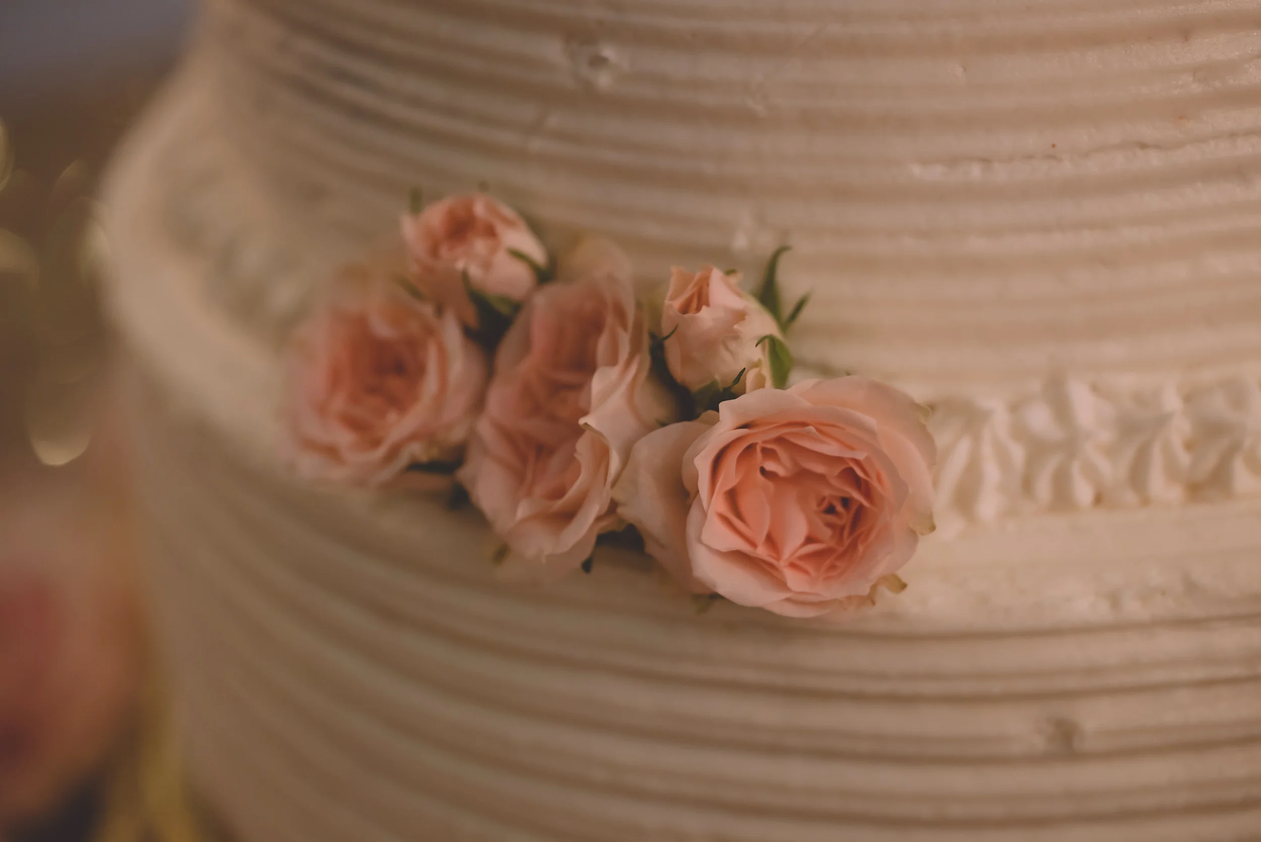 untitled-09617.jpg