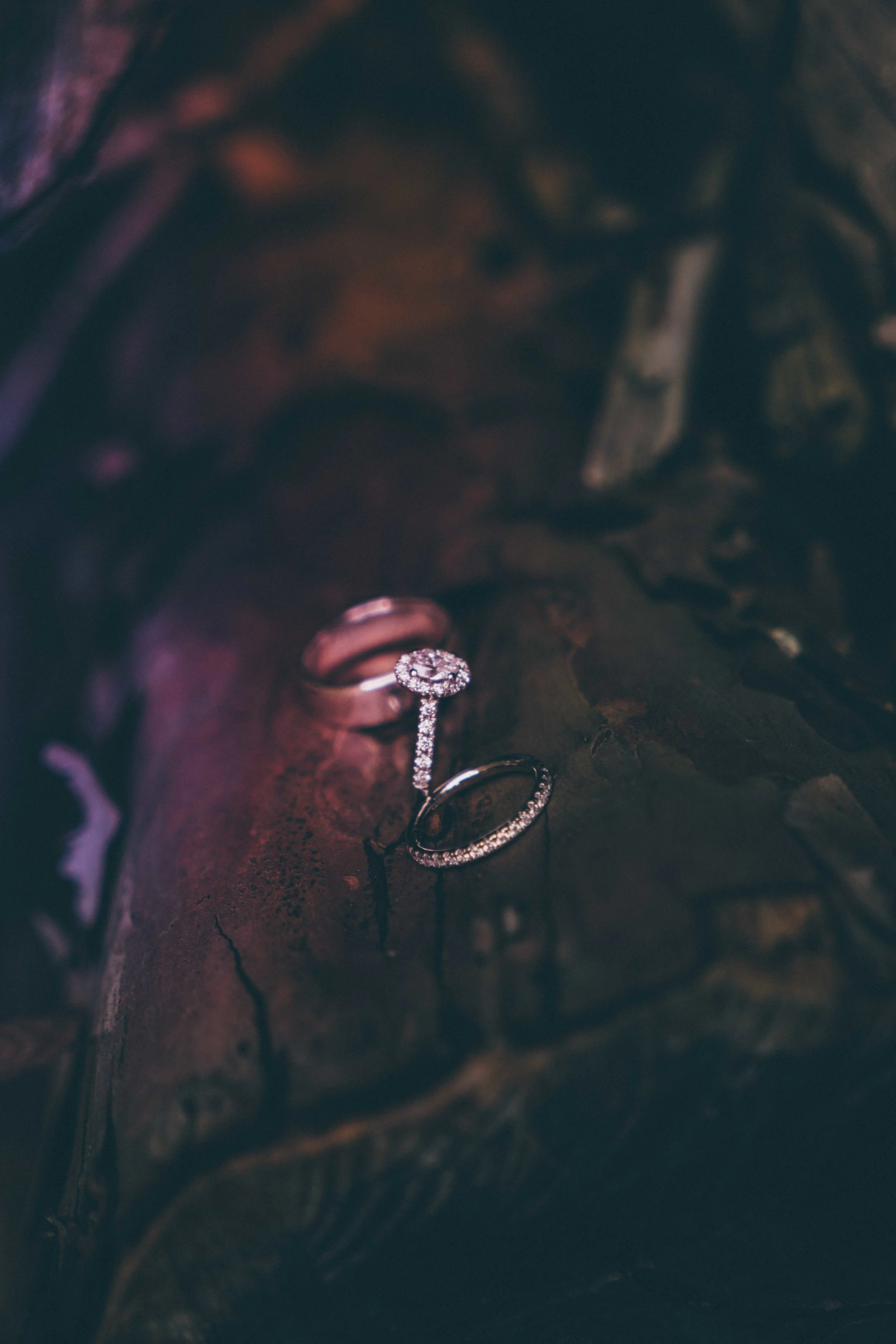 detail (3 of 1).jpg