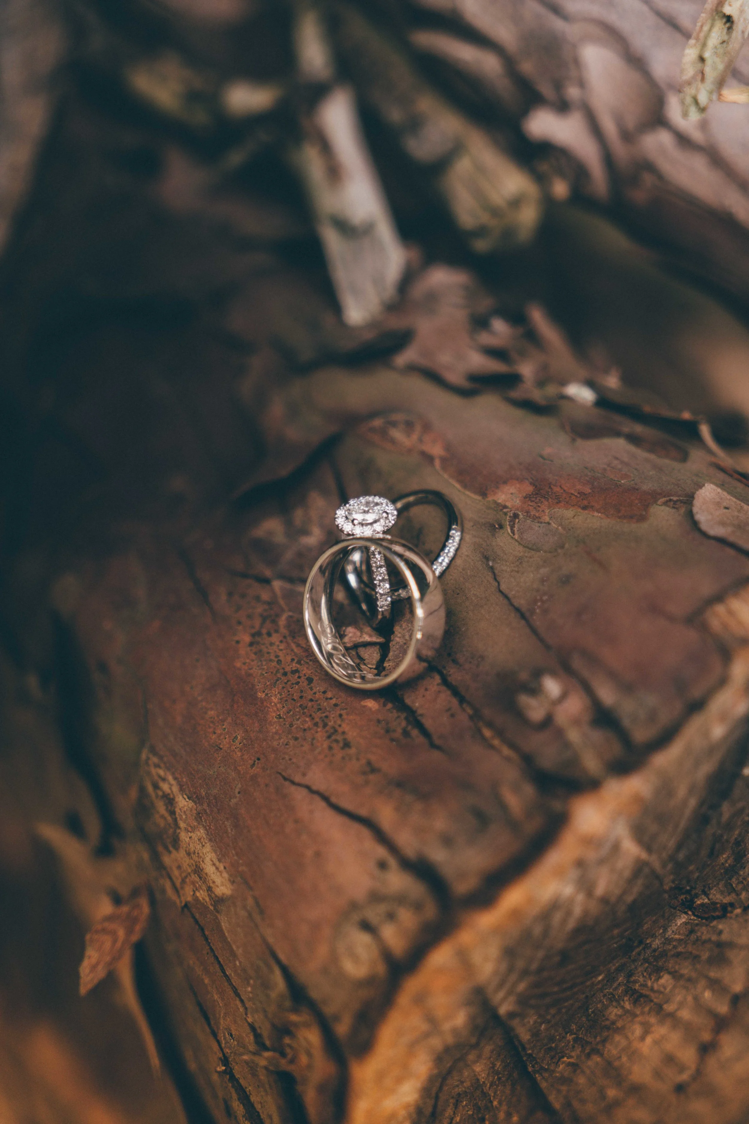 Lamis & Ali (49 of 876).jpg
