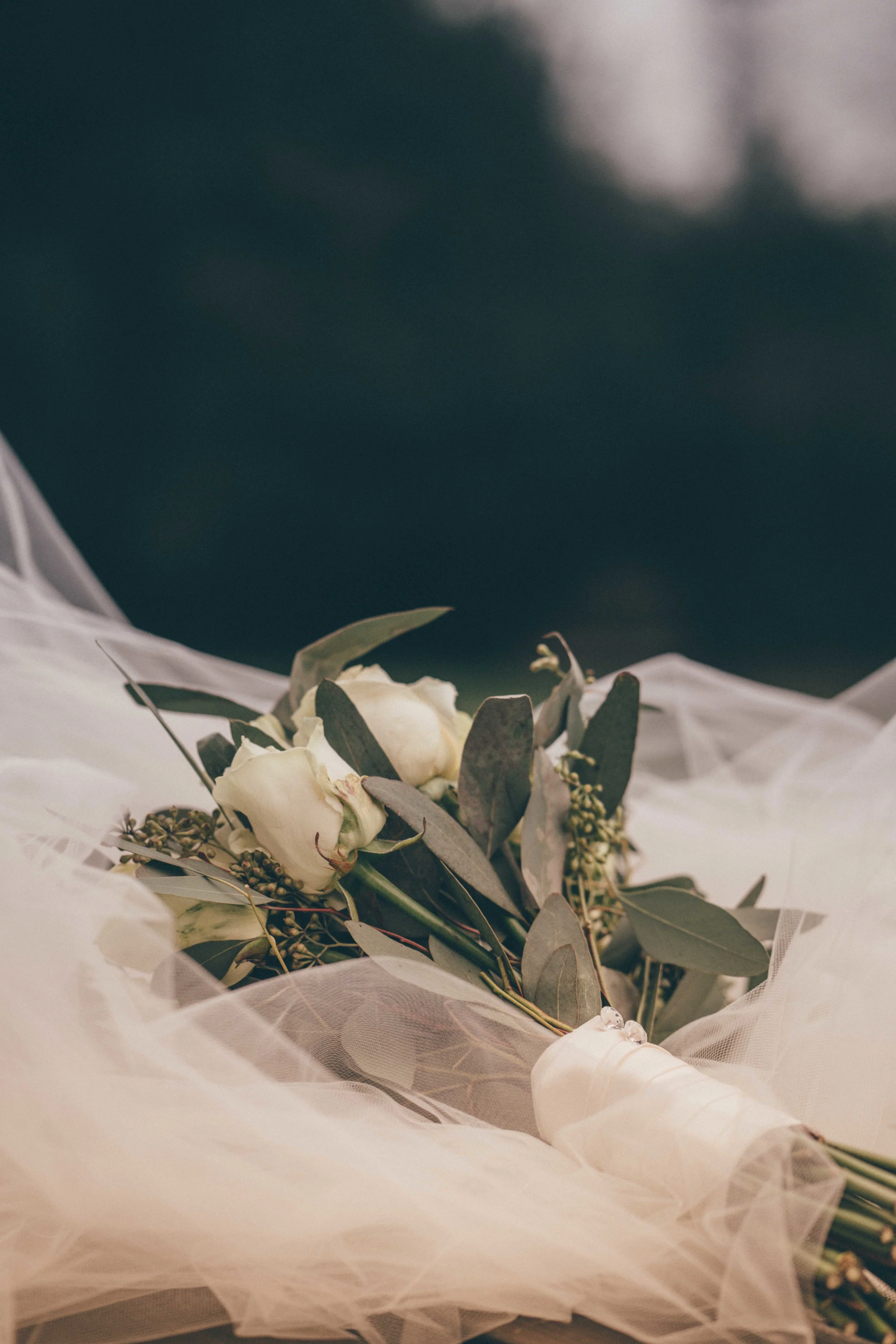 Lamis & Ali (310 of 876).jpg