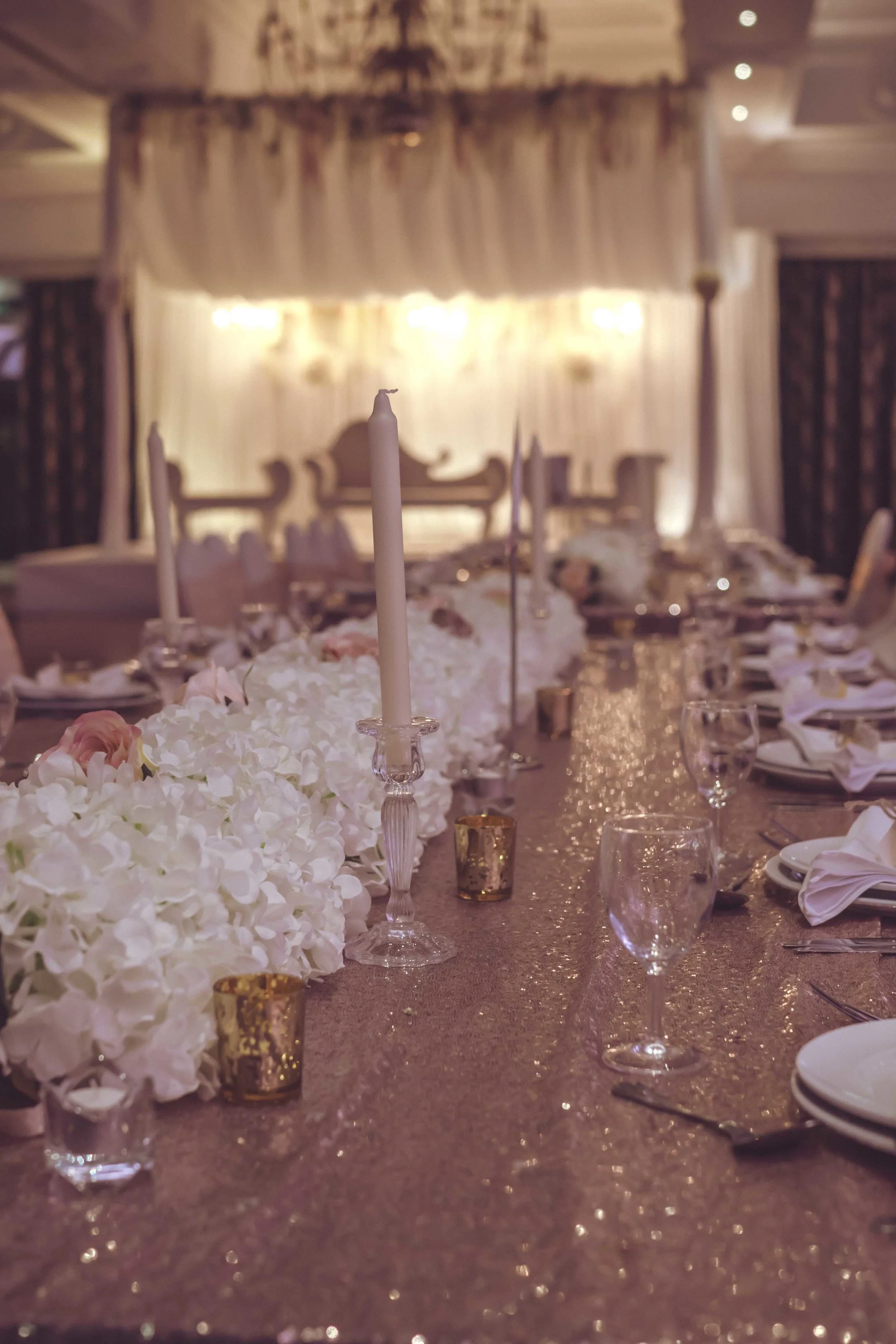 Lamis & Ali (403 of 876).jpg
