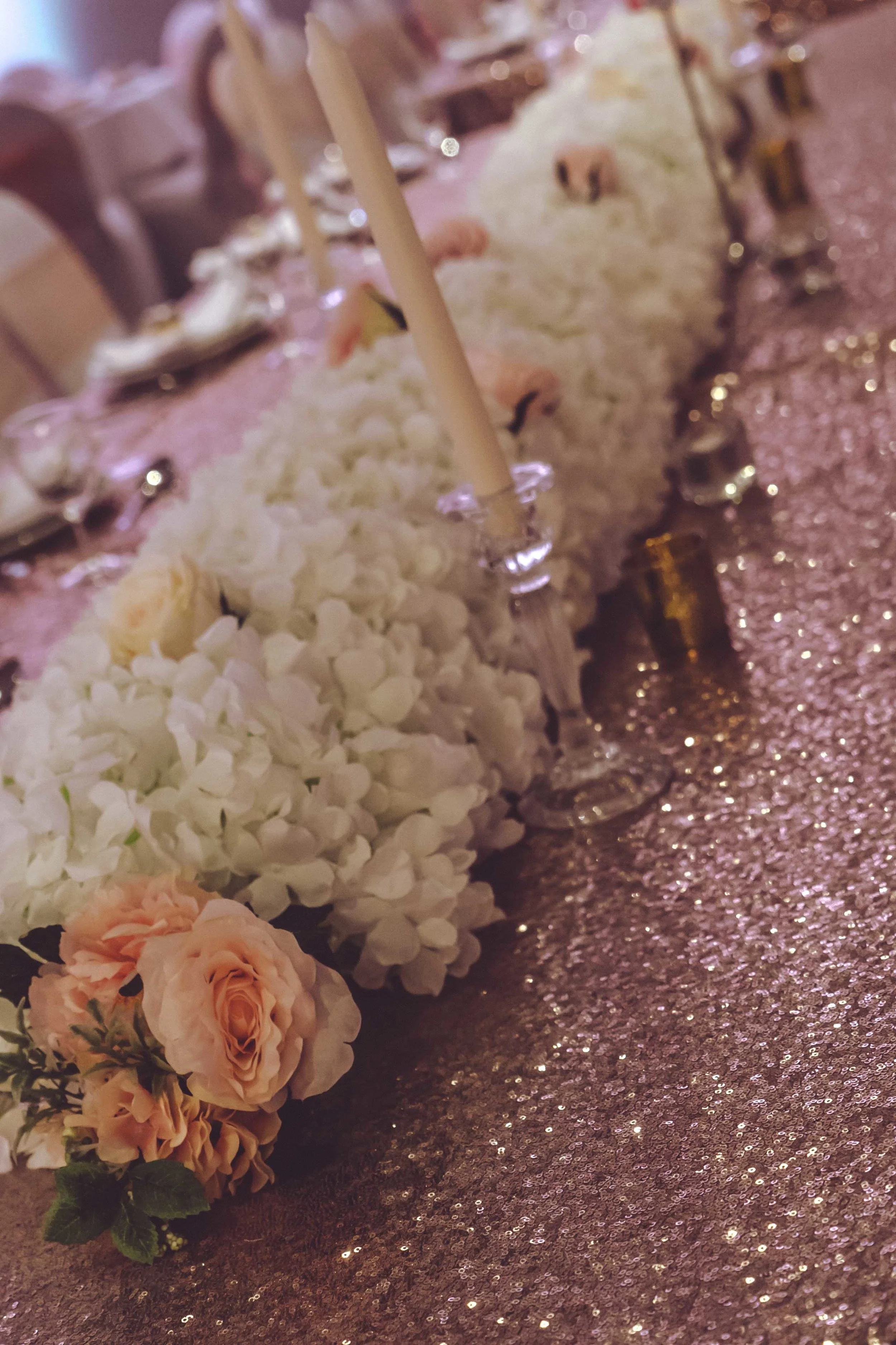 Lamis & Ali (422 of 876).jpg