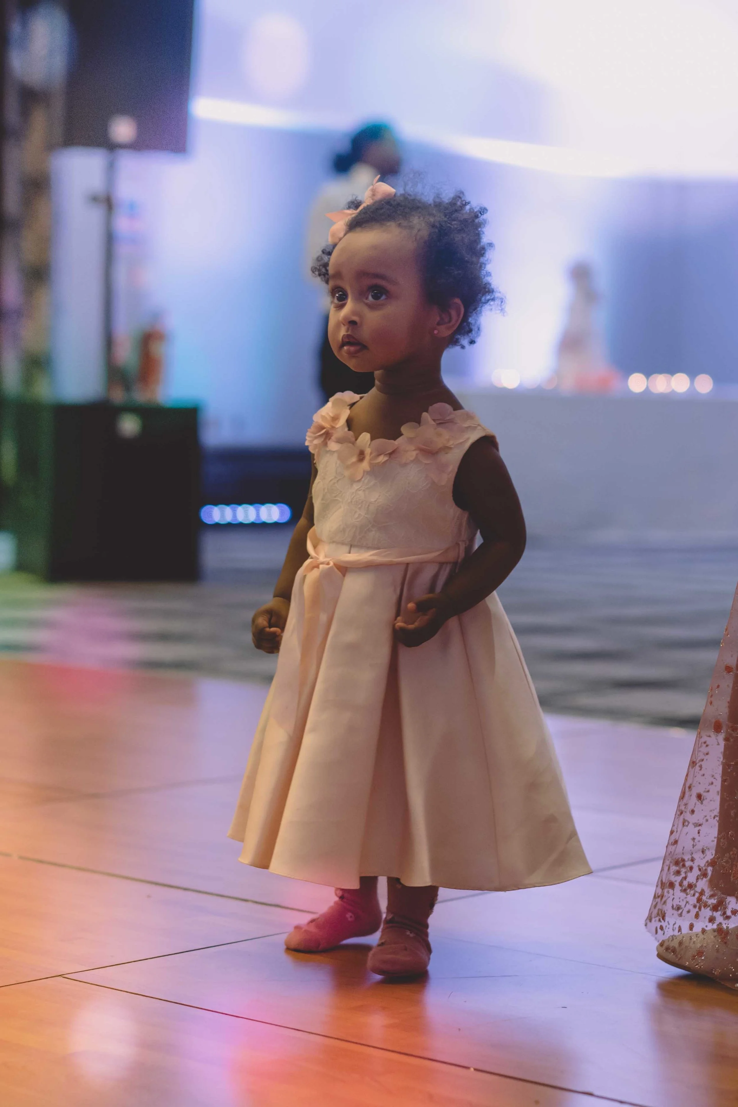 Lamis & Ali (530 of 876).jpg