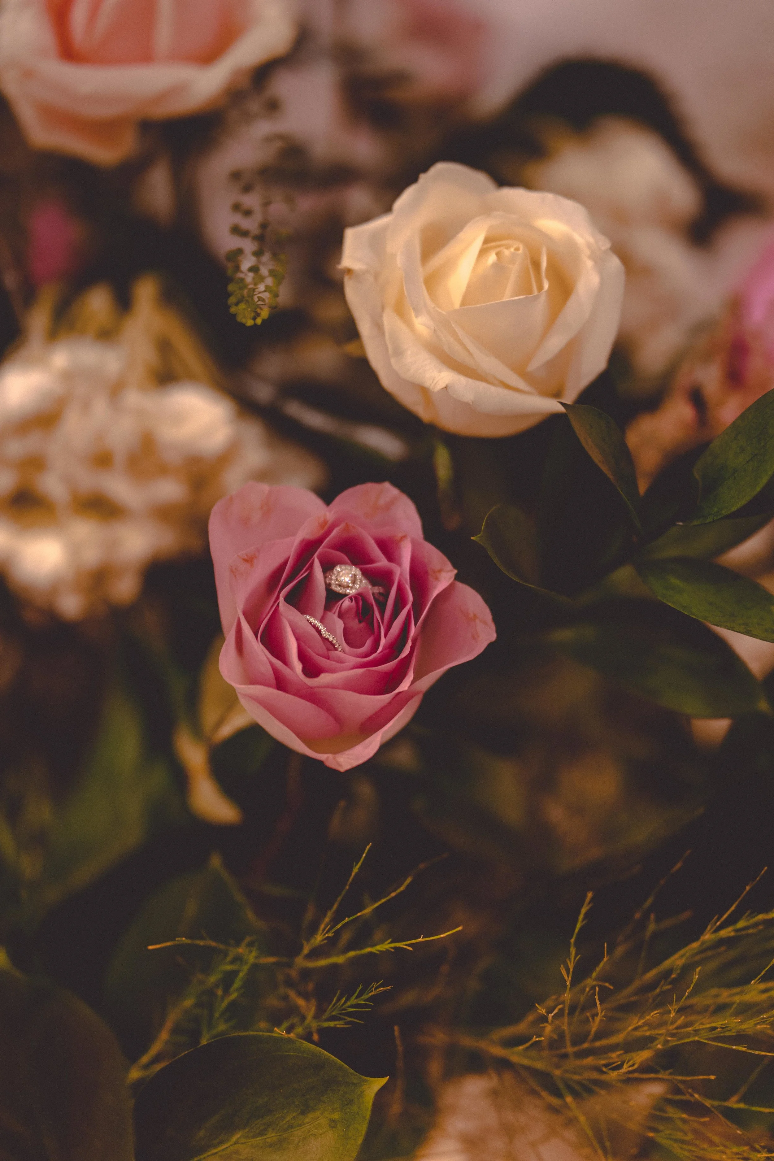 Lubna & Mohamed (89 of 977).jpg