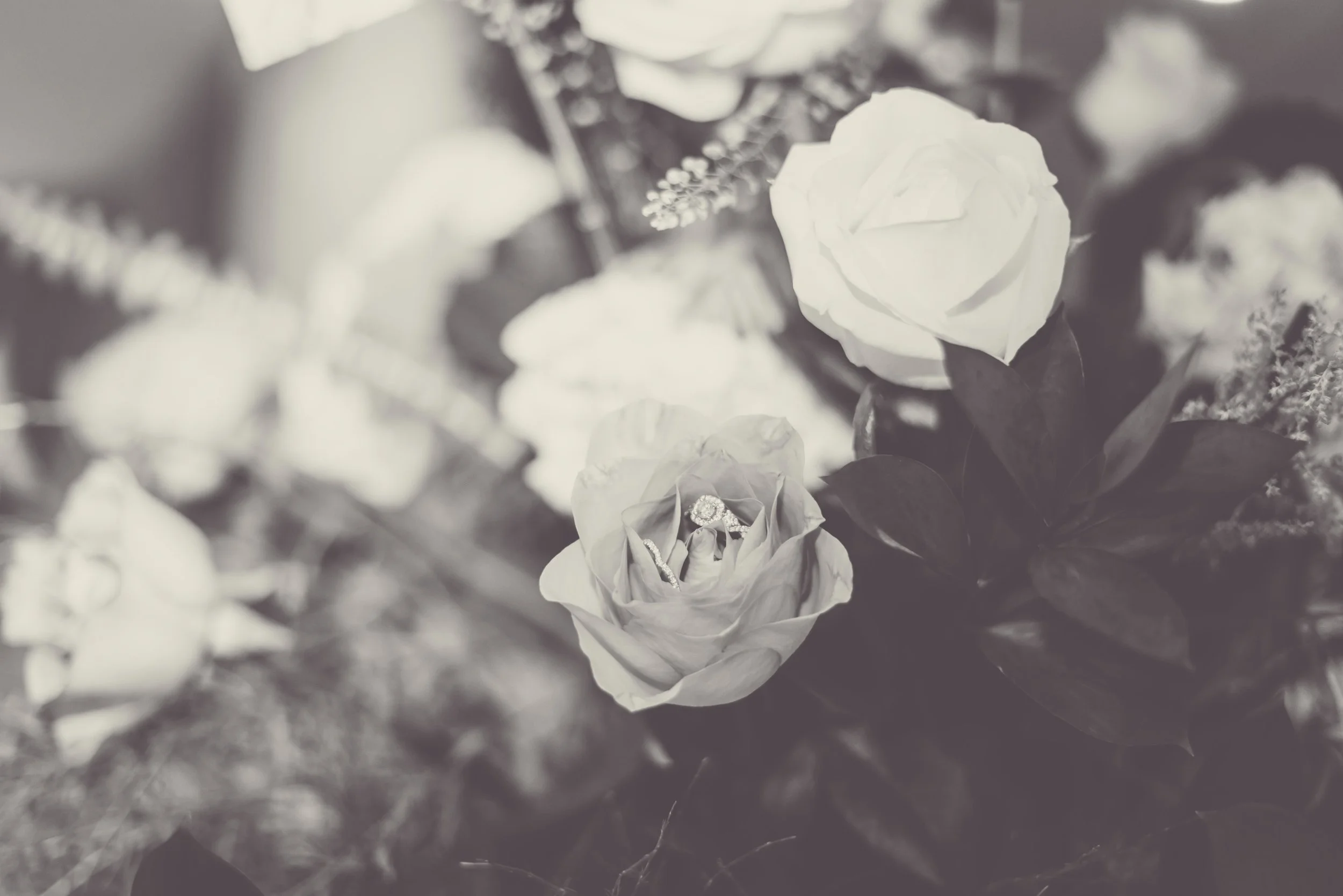 Lubna & Mohamed (91 of 977).jpg