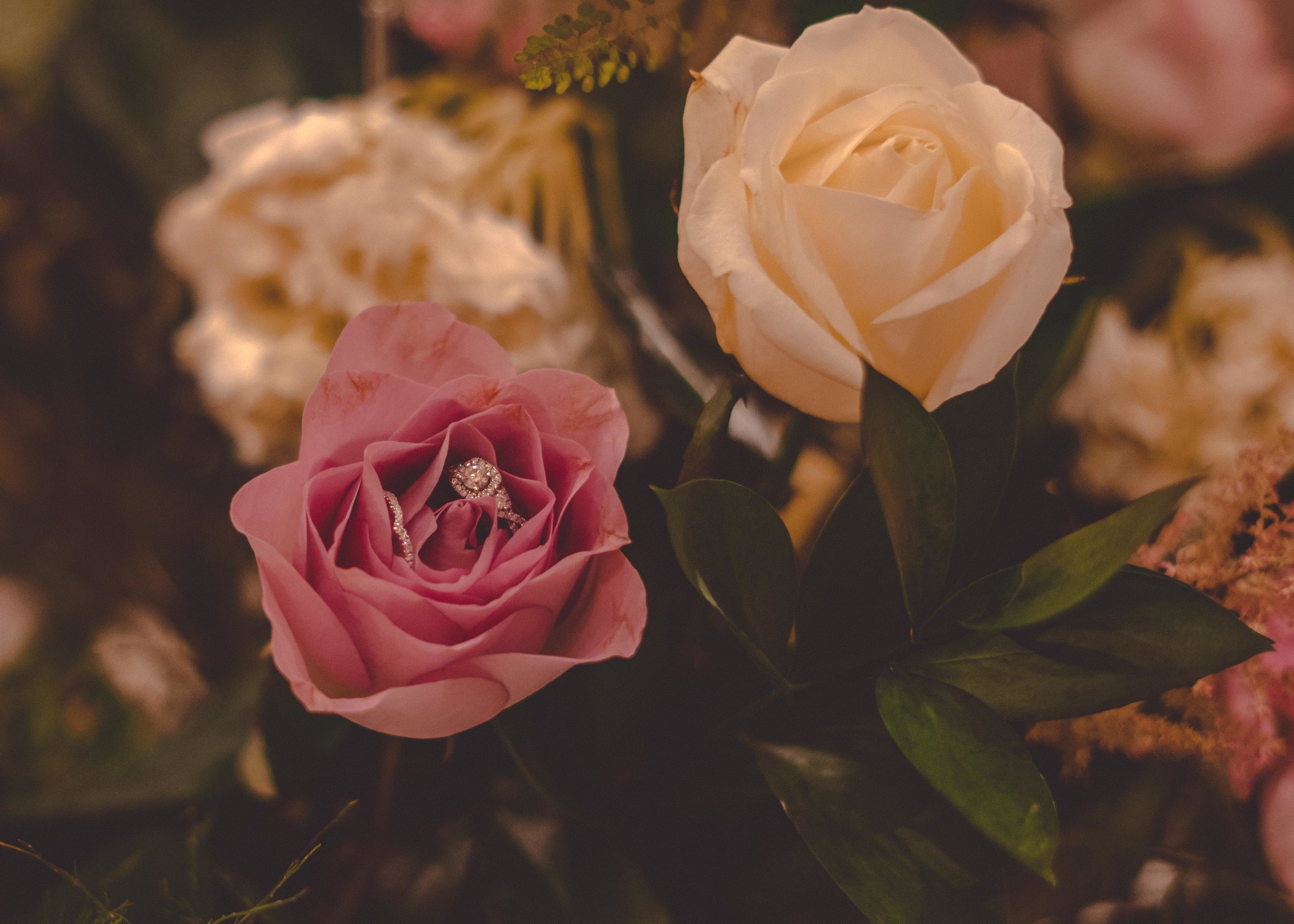 Lubna & Mohamed (93 of 977).jpg