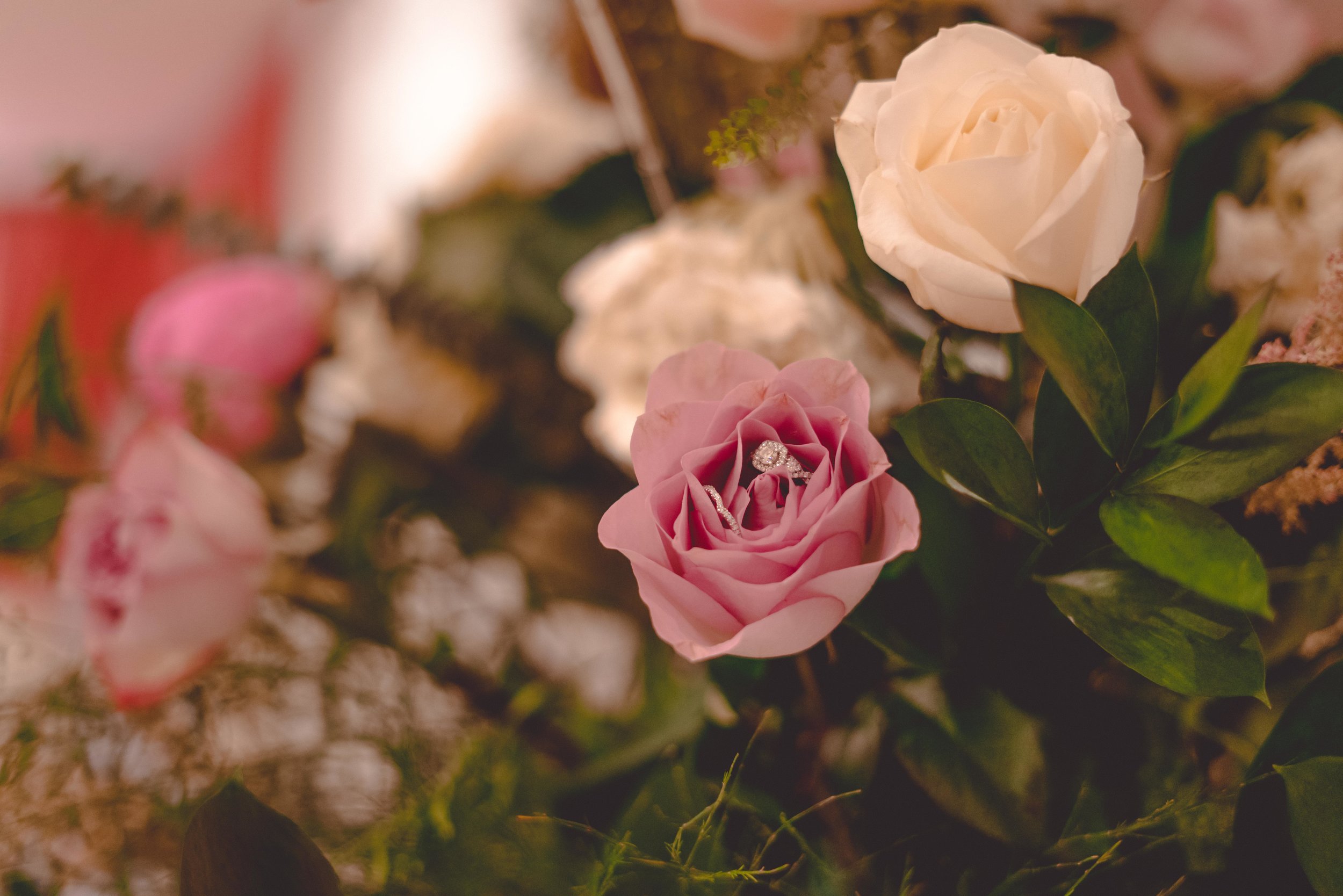 Lubna & Mohamed (92 of 977).jpg
