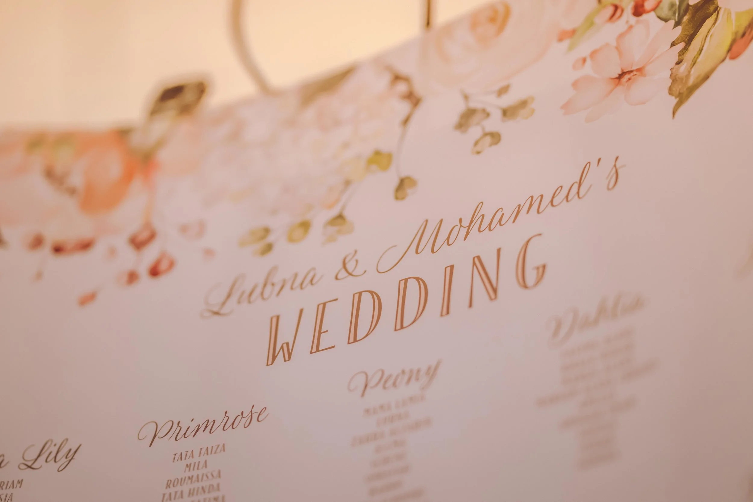 Lubna & Mohamed (34 of 977).jpg