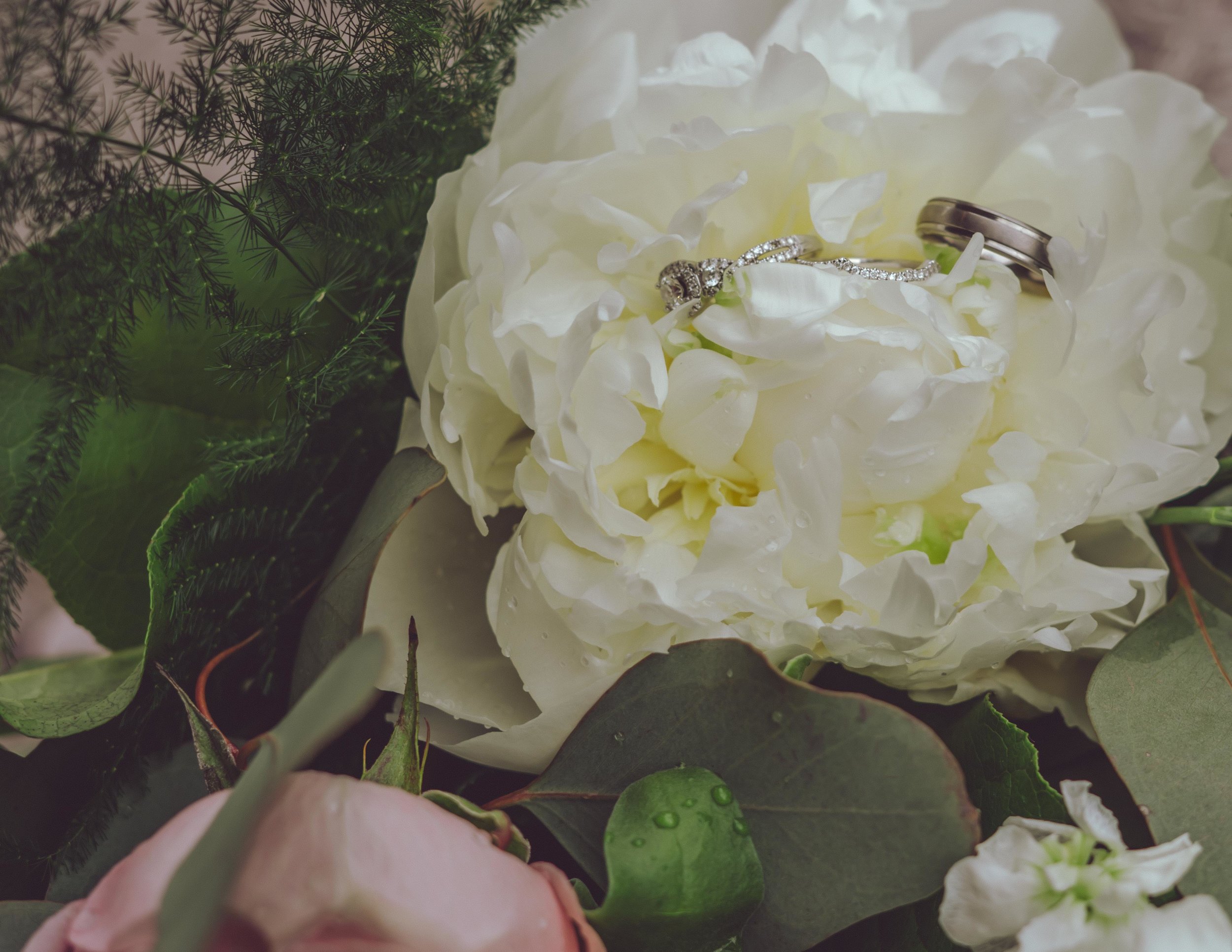 Lubna & Mohamed (397 of 977).jpg