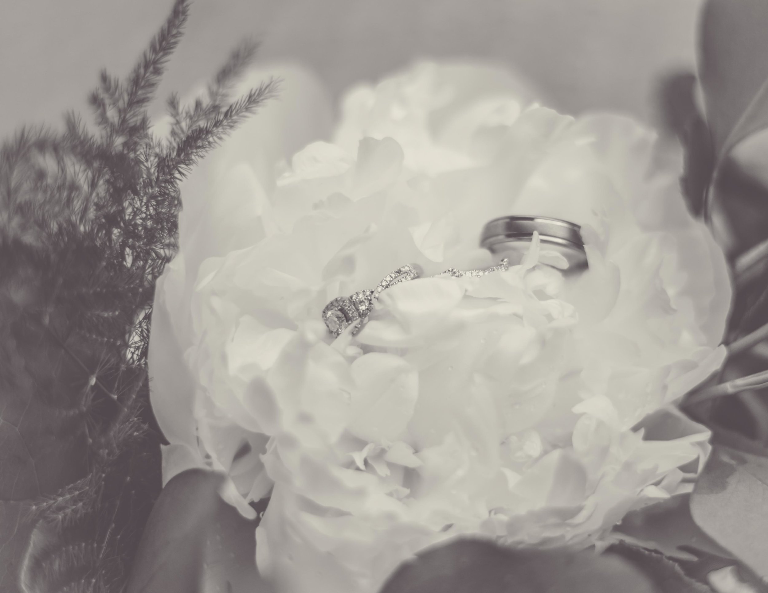 Lubna & Mohamed (399 of 977).jpg