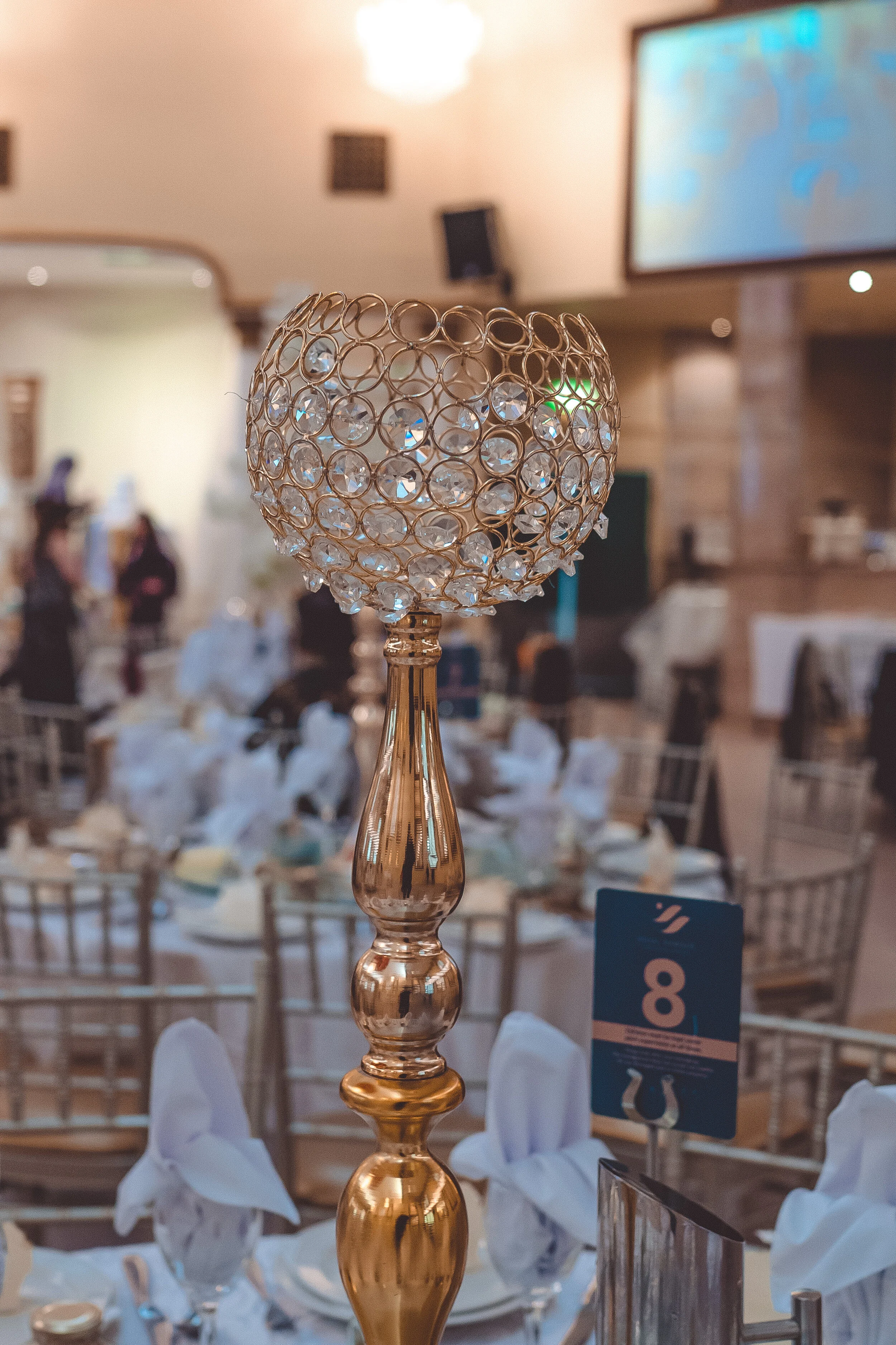 Shehed & Hazem (298 of 246).jpg