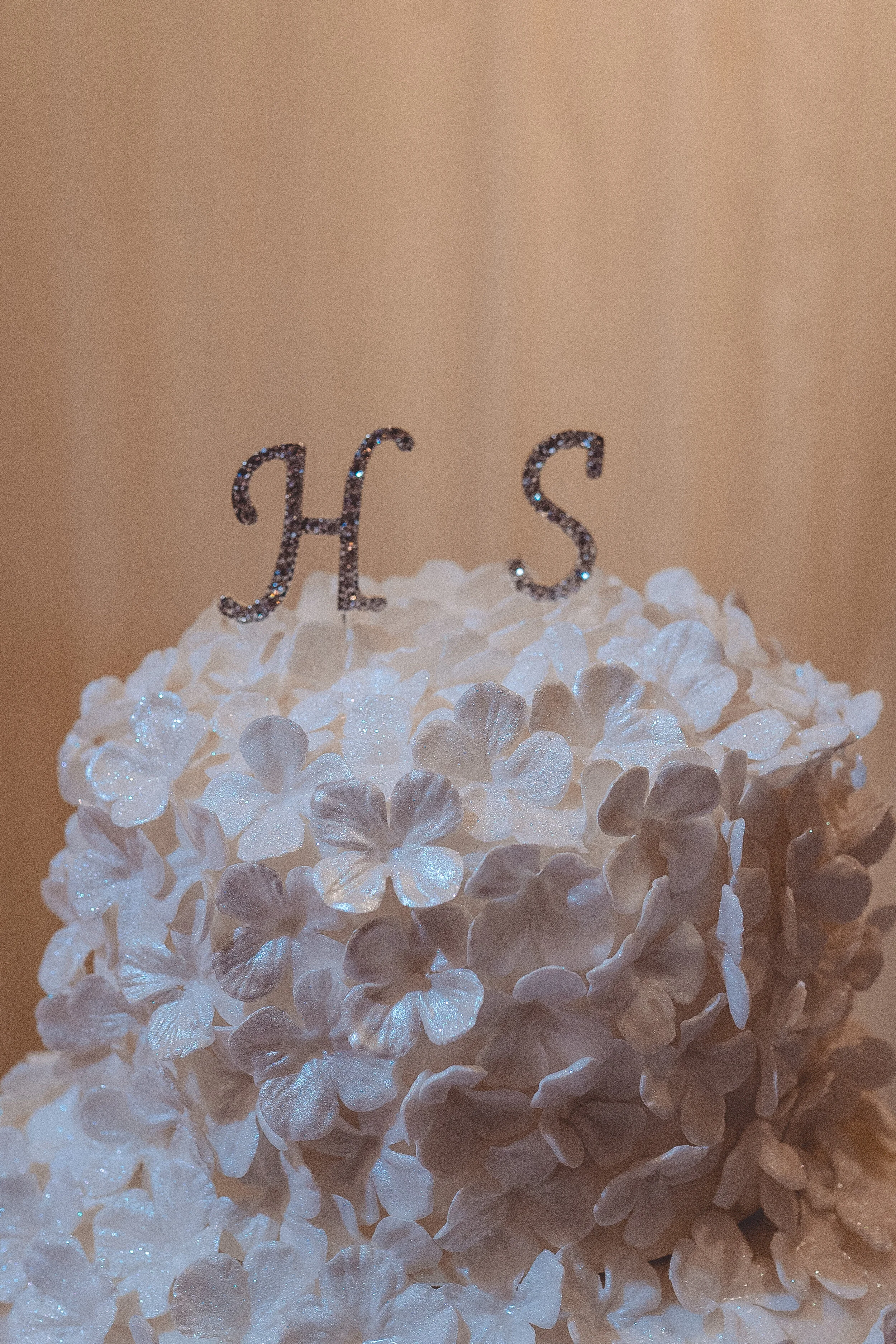 Shehed & Hazem (356 of 246).jpg