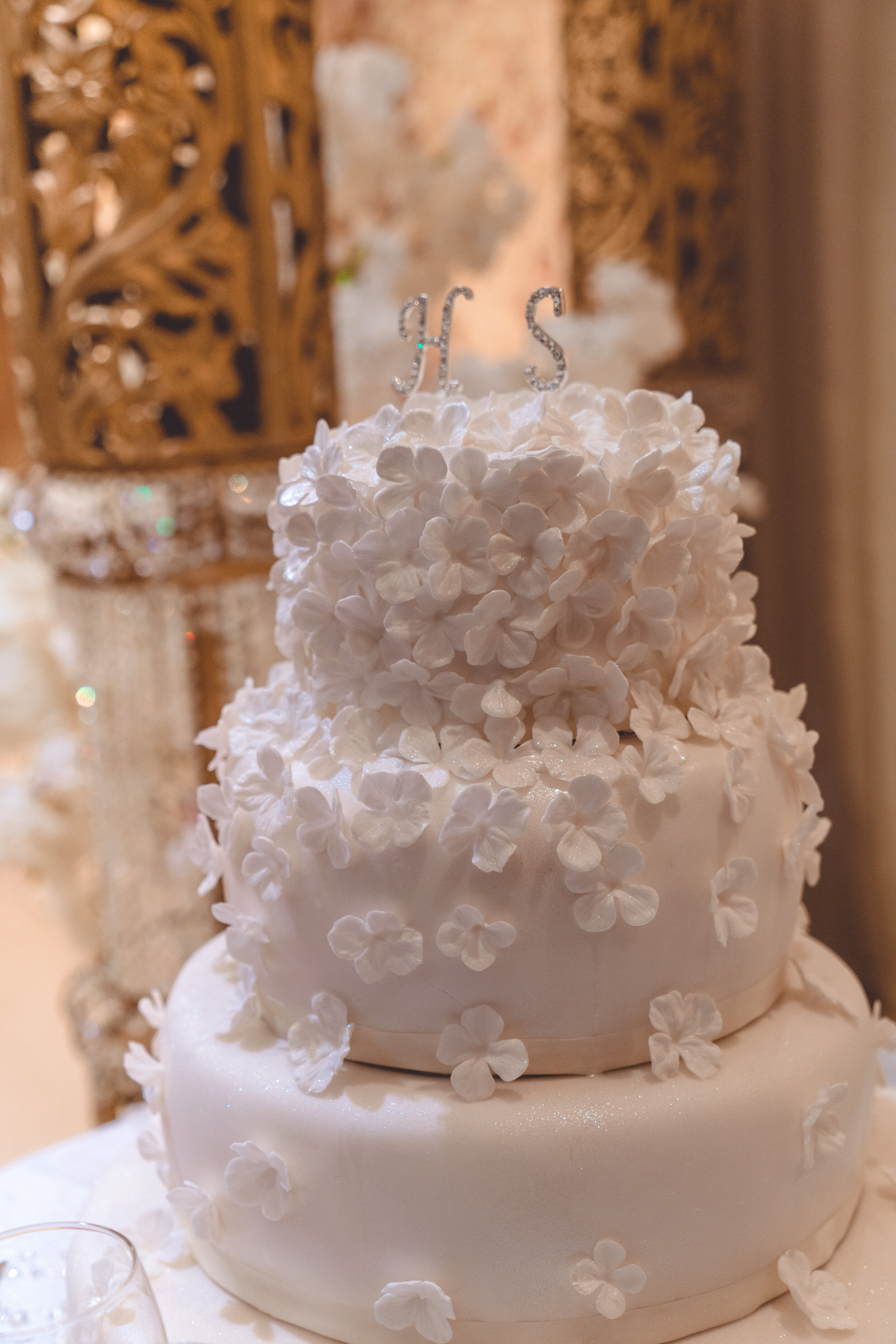 Shehed & Hazem (362 of 246).jpg