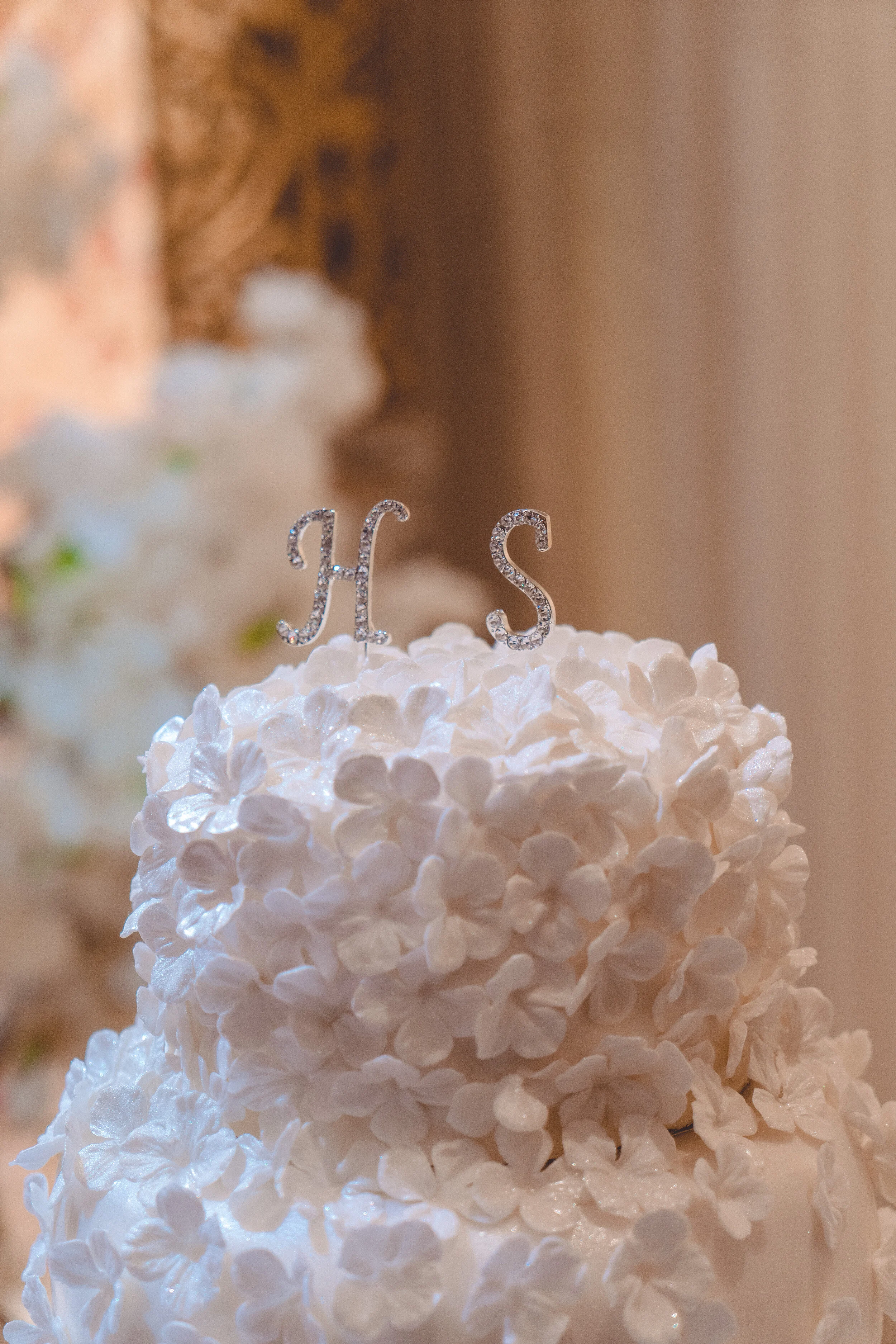 Shehed & Hazem (365 of 246).jpg