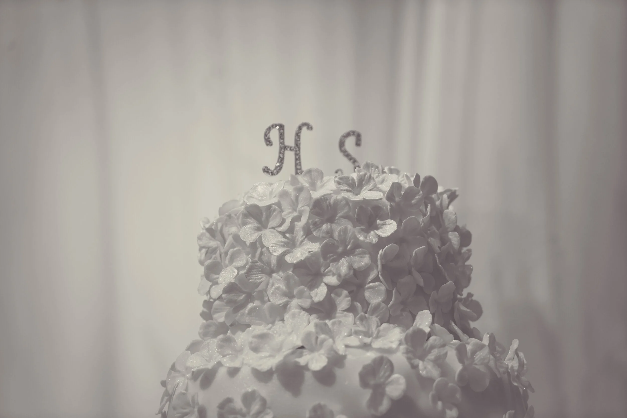 Shehed & Hazem (366 of 246).jpg