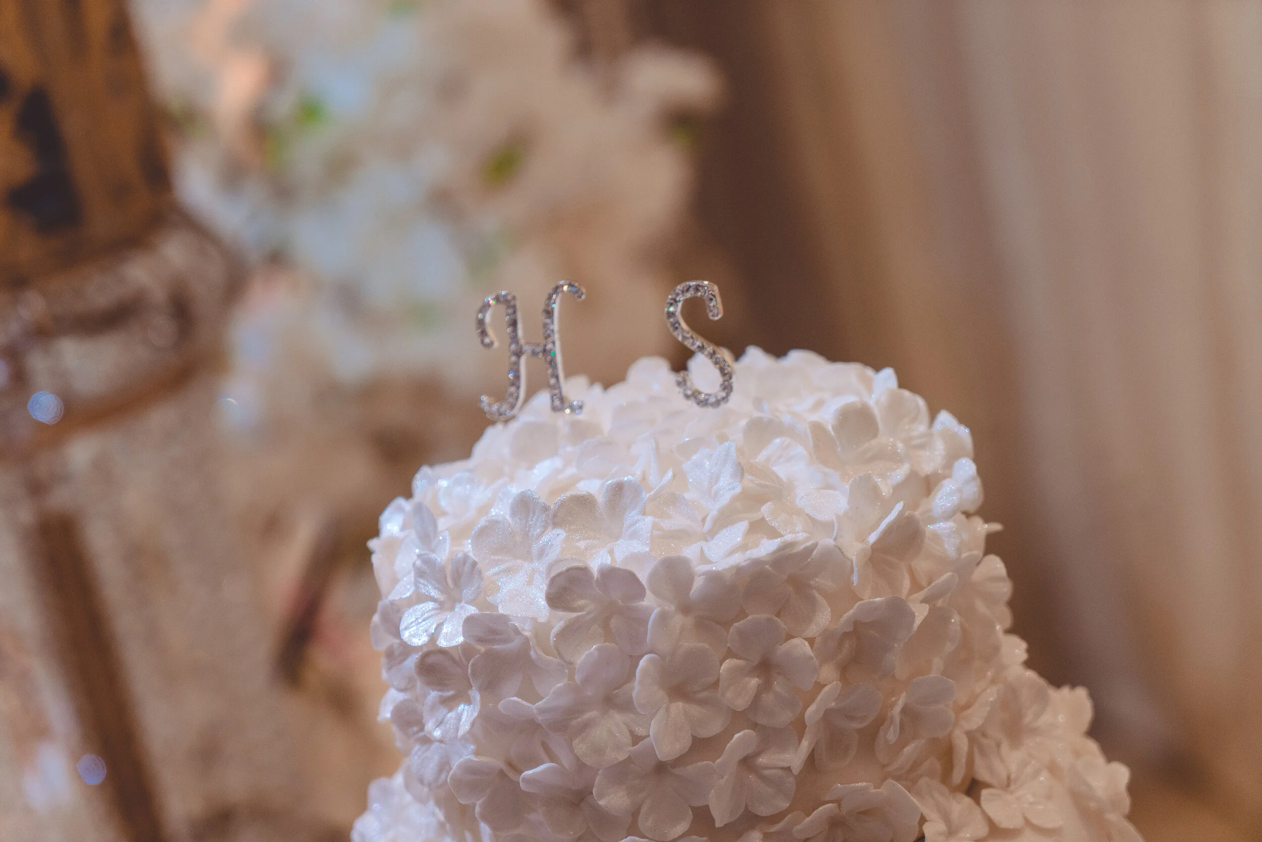 Shehed & Hazem (364 of 246).jpg