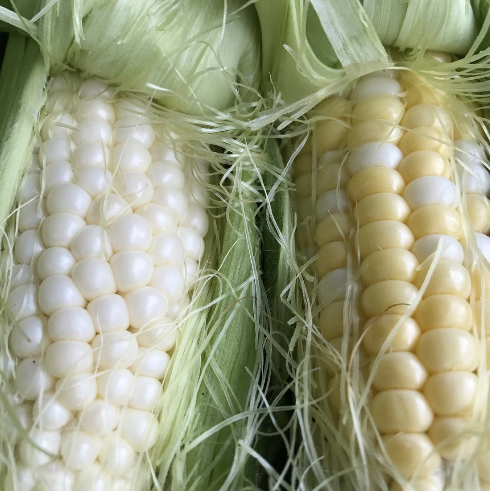 Both butter and sugar from CN Smith and silver queen from Elliot Farm! Silver queen is slightly less sweet and more corny.
