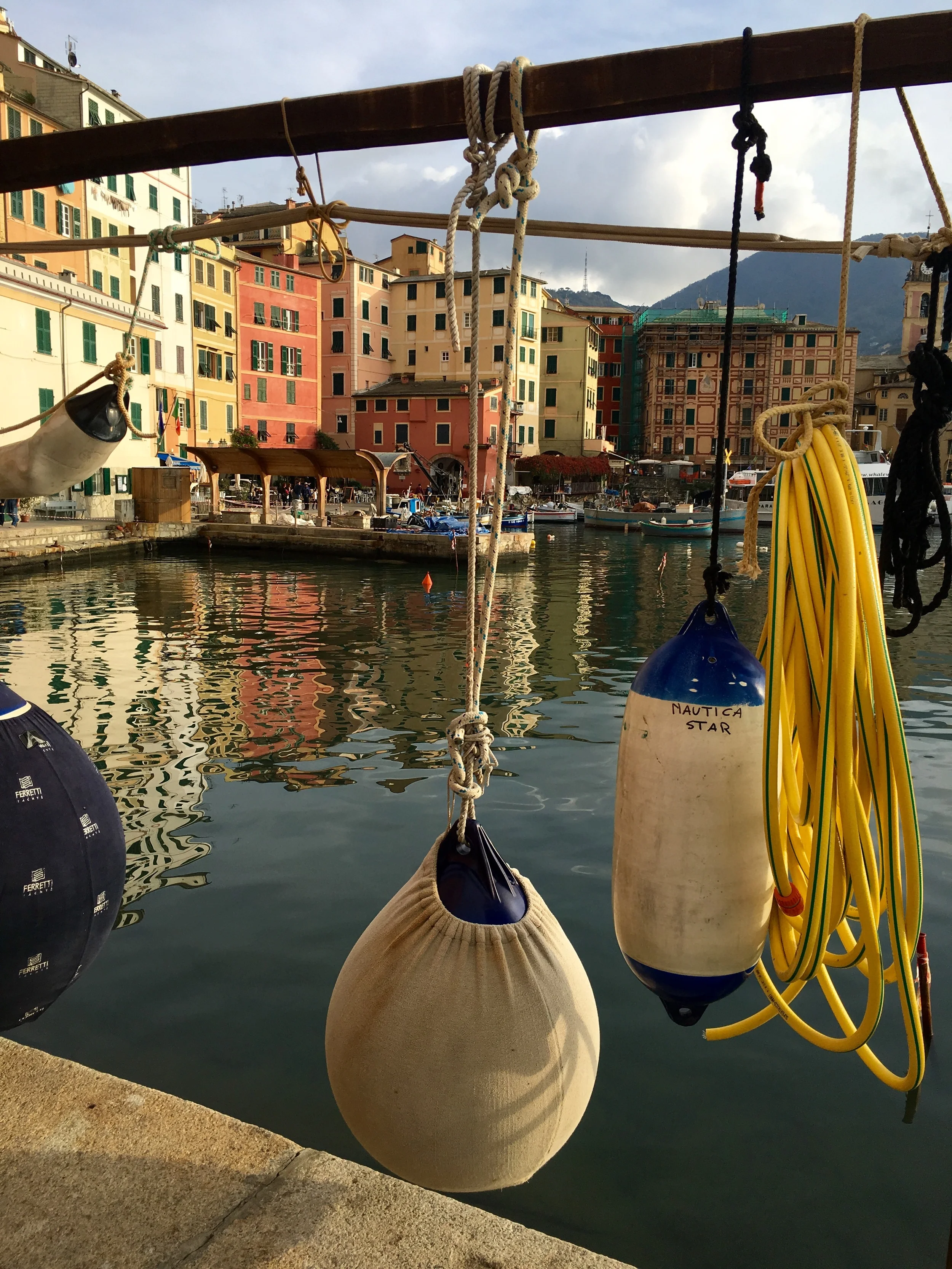 Camogli-Darcy.jpg