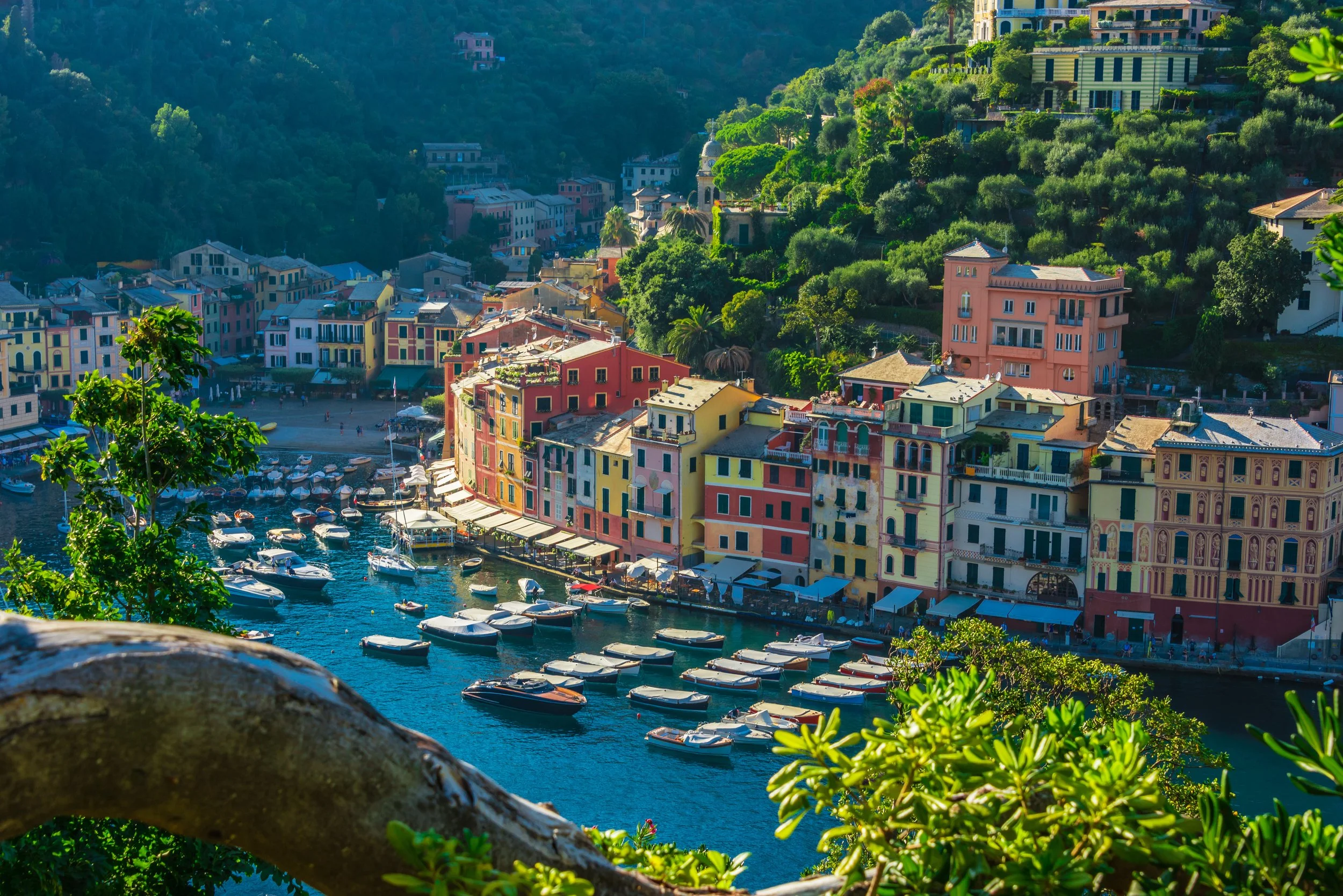 AdobeStock_224044901.jpeg