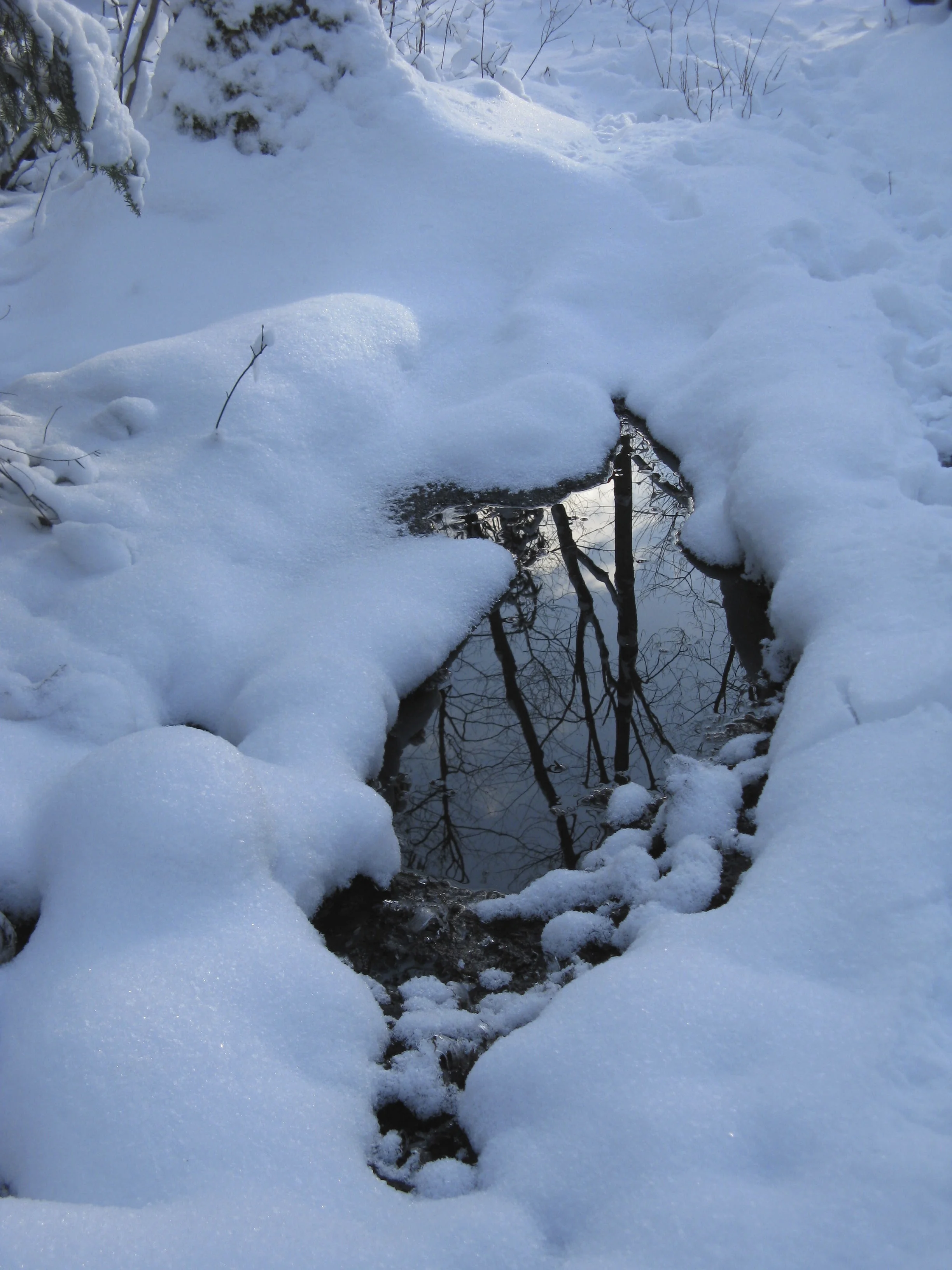 Snow.jpg