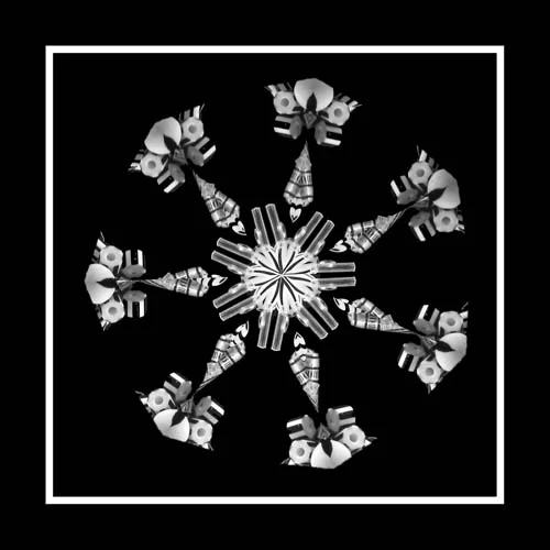 Impossible Snowflake.jpg