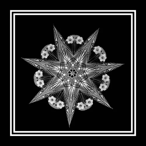 Ornament.jpg