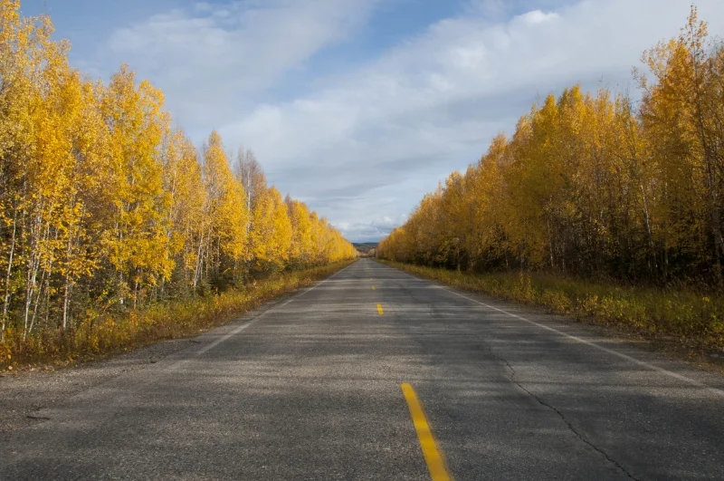 North of Fairbanks, AK