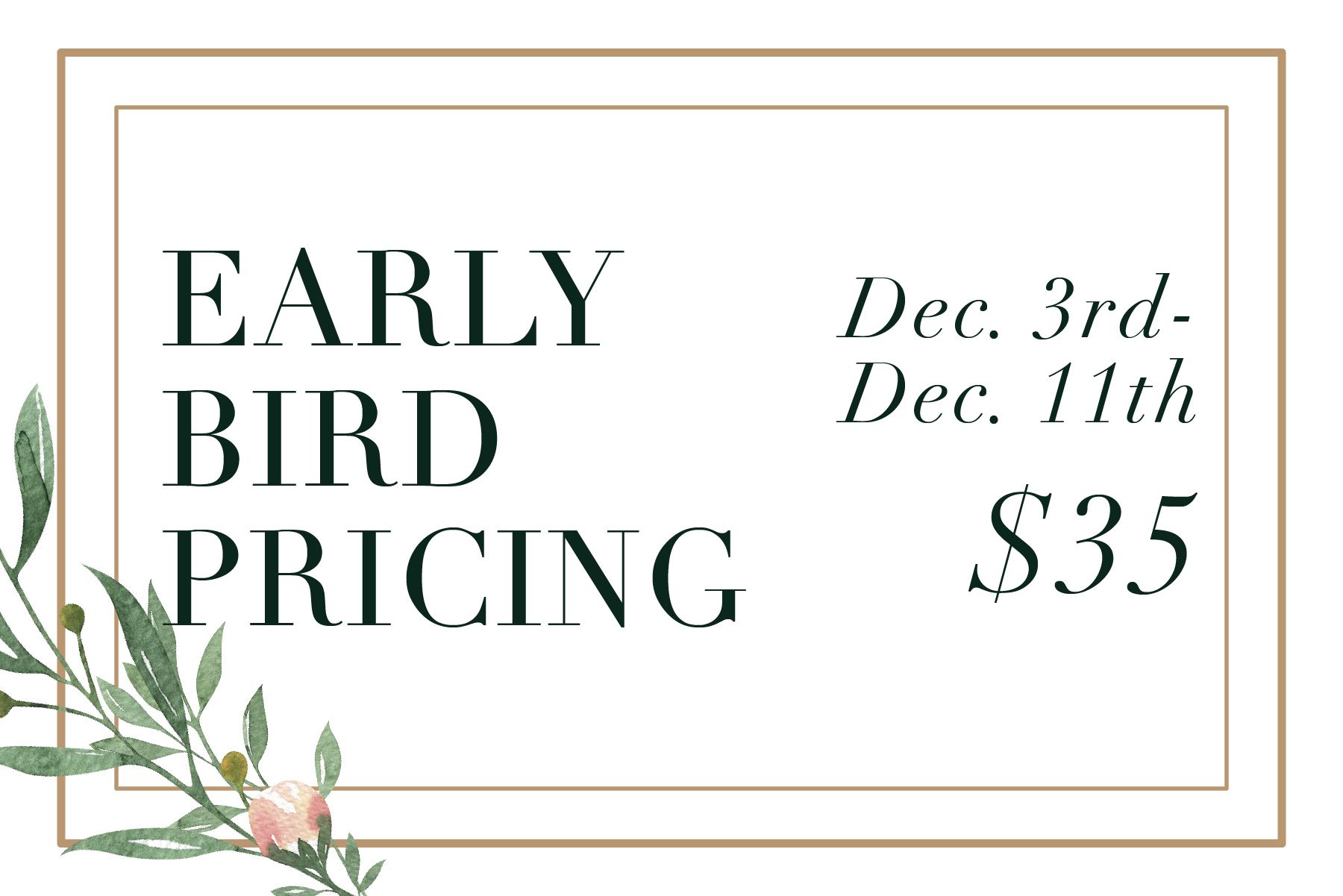 Early Bird Pricing.jpg