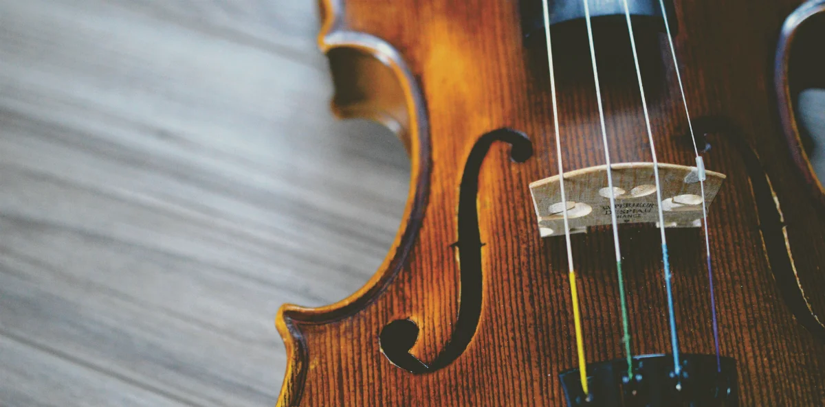 Violin