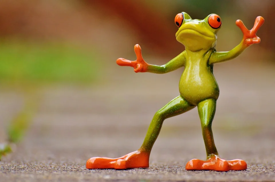 frog-1234514_960_720.jpg