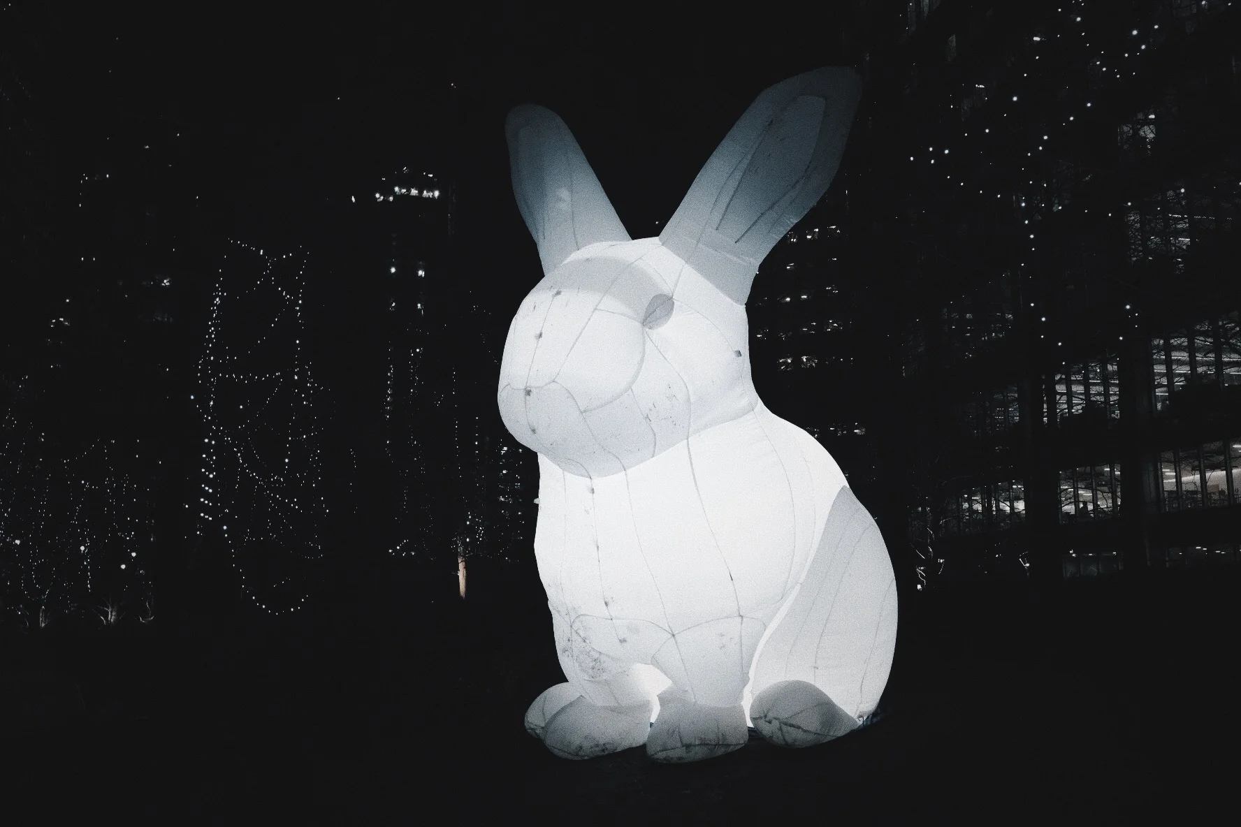 Photo 22-01-2018, 17 55 55.jpg