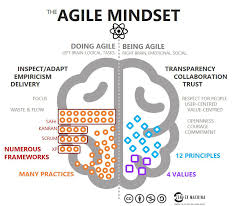 Agile Mindset