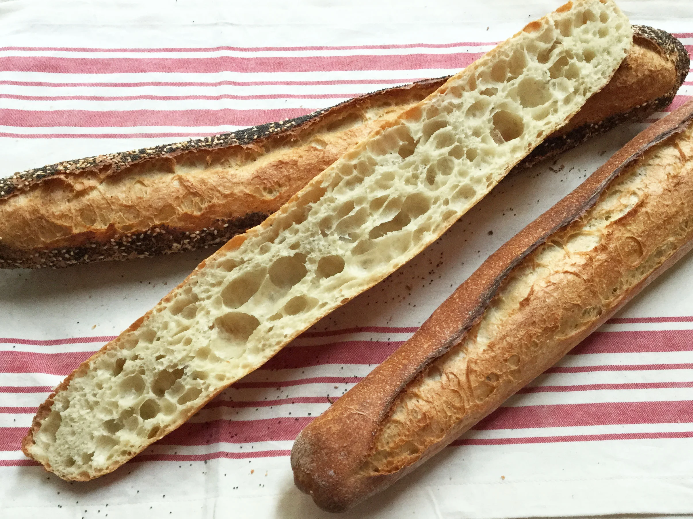 Blue dog bread best sale