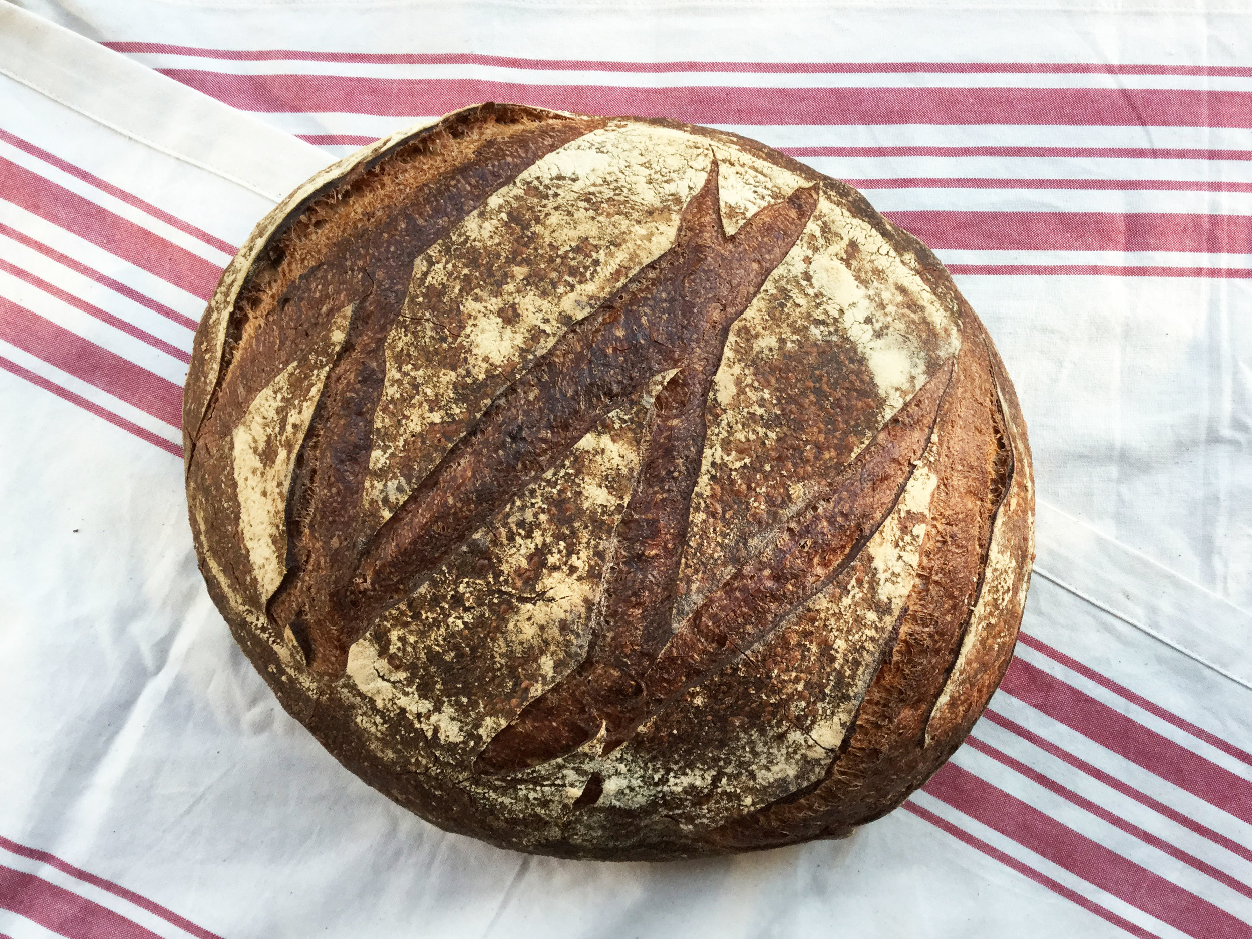 MICHE A French country round - enough bread to satisfy your family for a week. Ingredients: Unbleached white flour, organic whole-wheat flour, organic rye flour, sourdough starter, sea salt, water.
