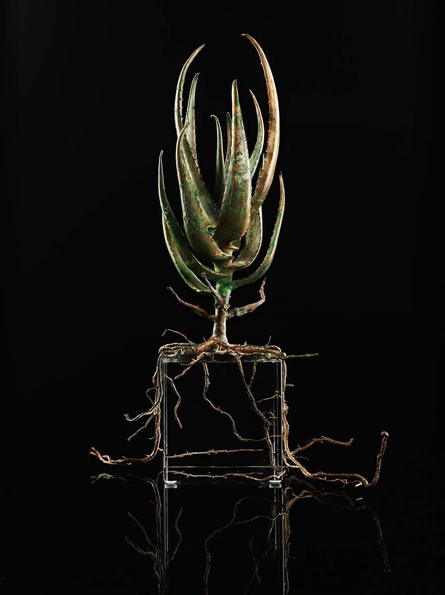 <i>Aloe succotrina</i>