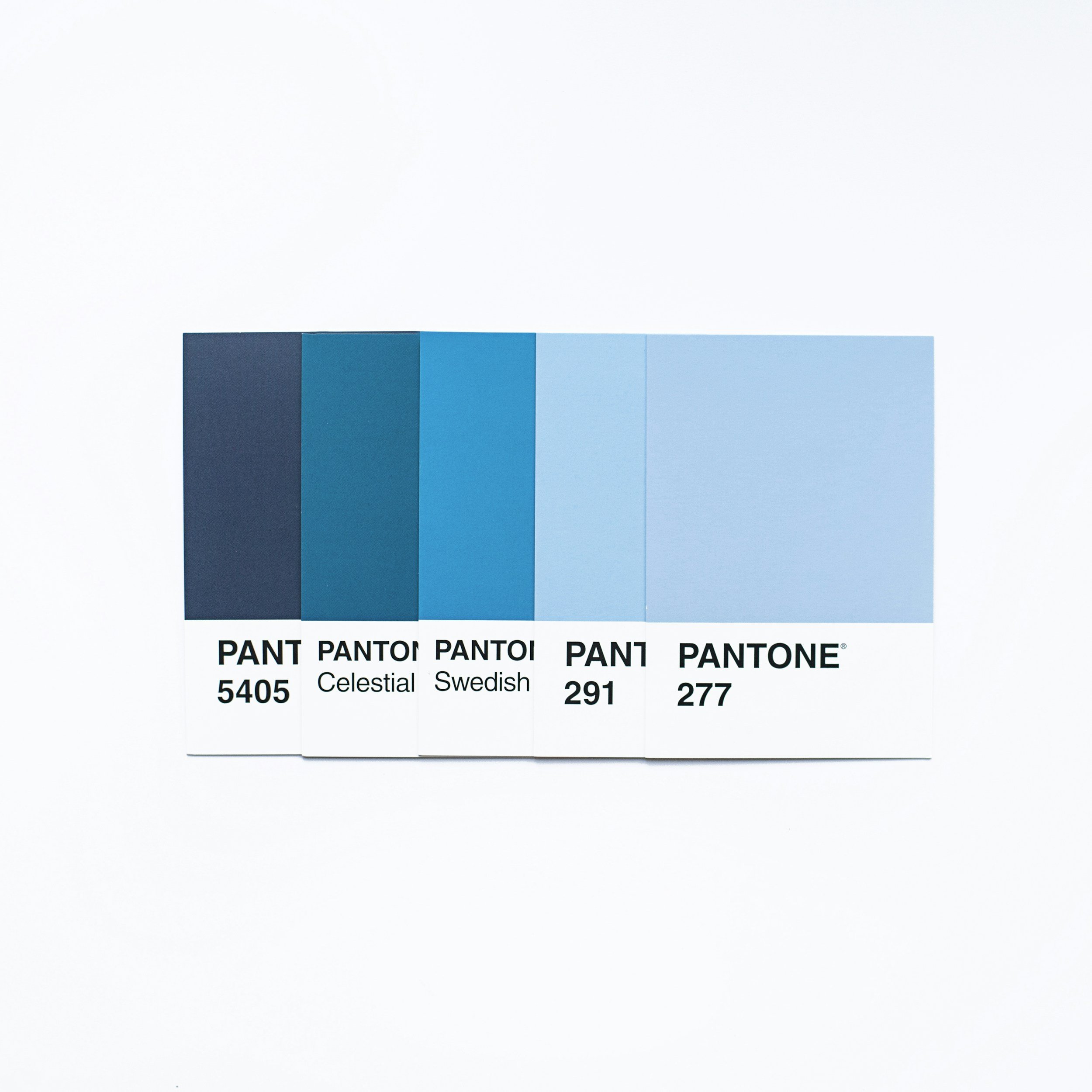 Choosing the Right Colors for Your Brand: Psychology of Color in Design